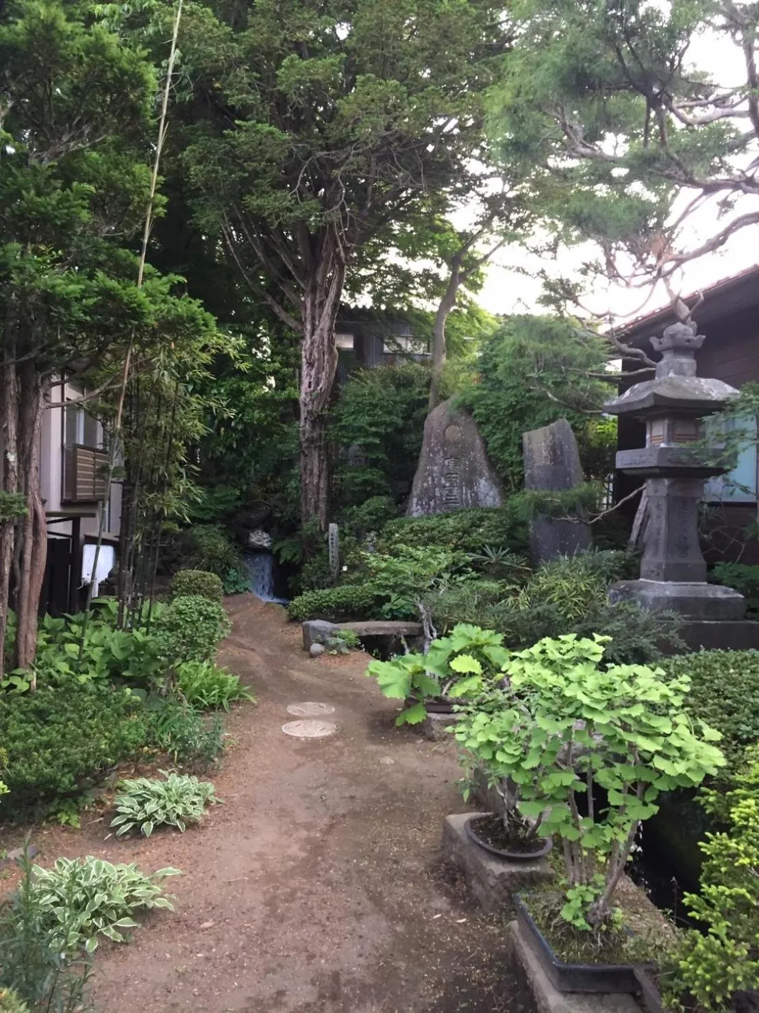 Garden in Daikokuya Mt.Fuji