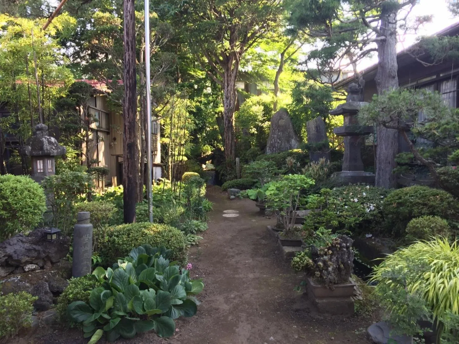 Garden in Daikokuya Mt.Fuji