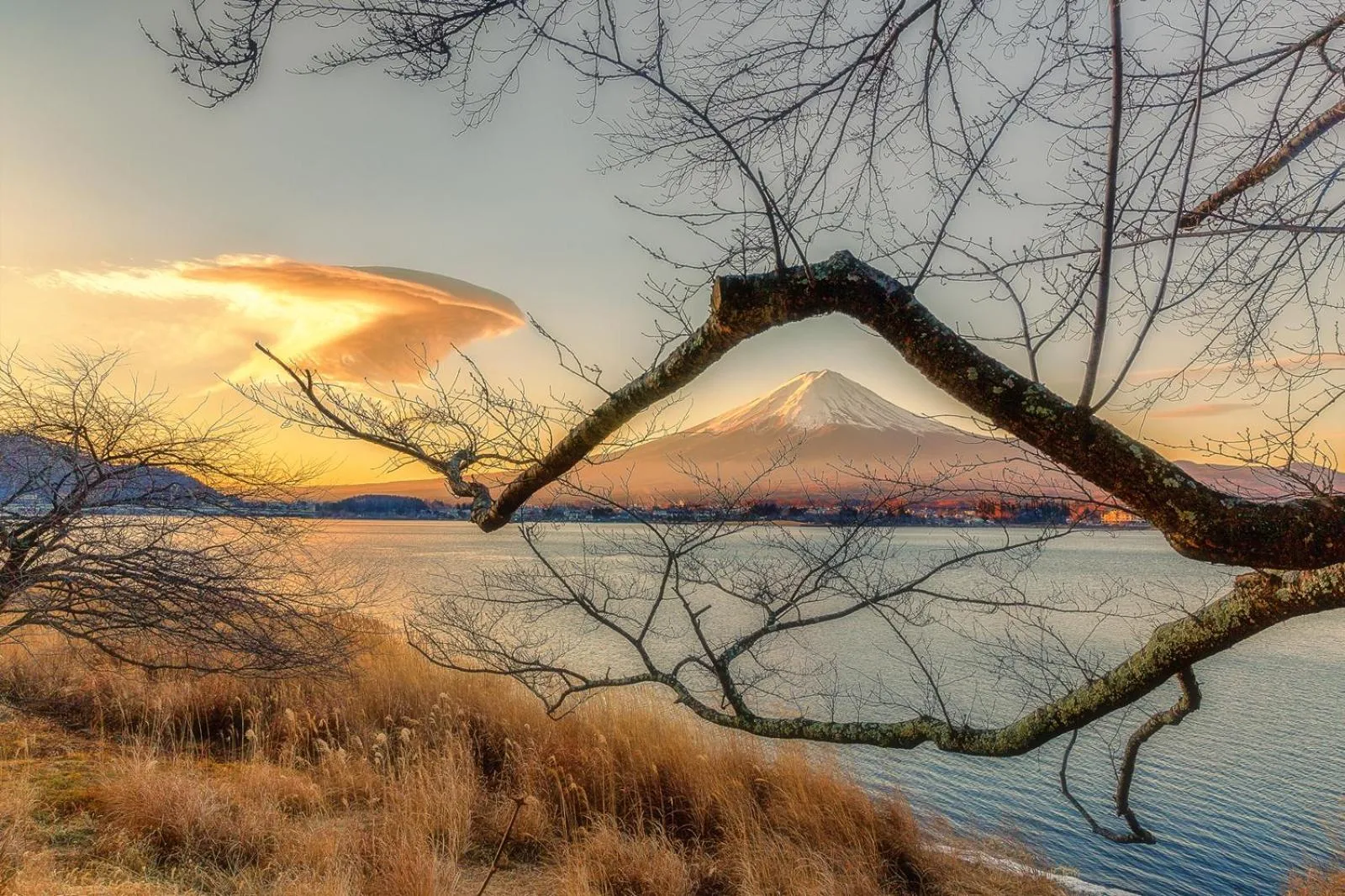 Nearby landmark in Daikokuya Mt.Fuji