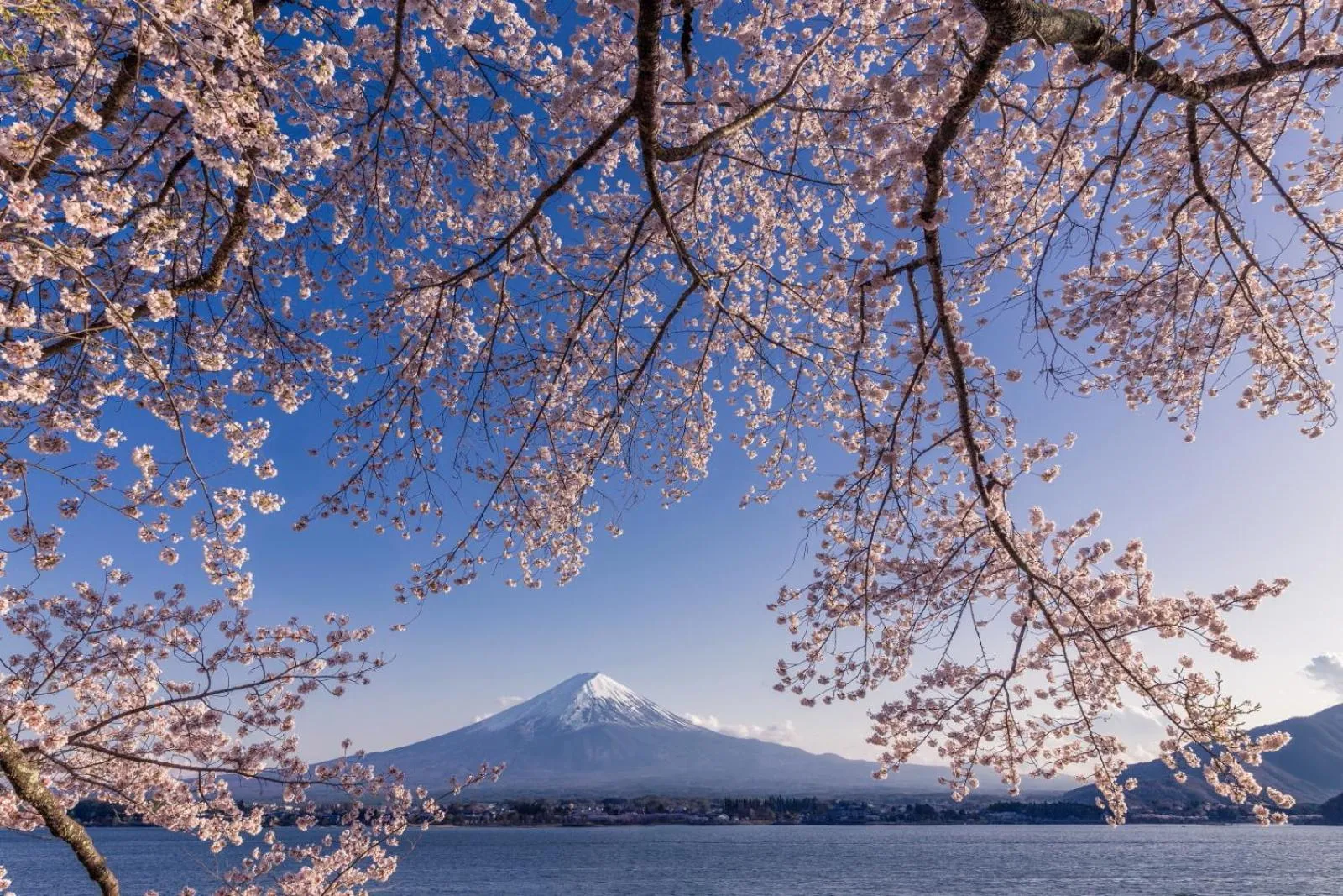 Nearby landmark in Daikokuya Mt.Fuji
