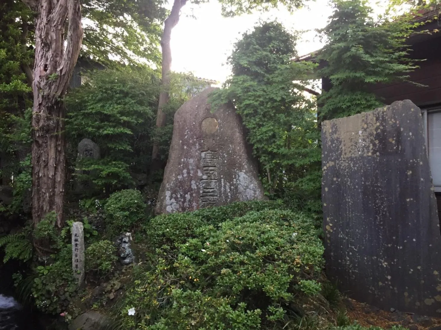 Garden in Daikokuya Mt.Fuji