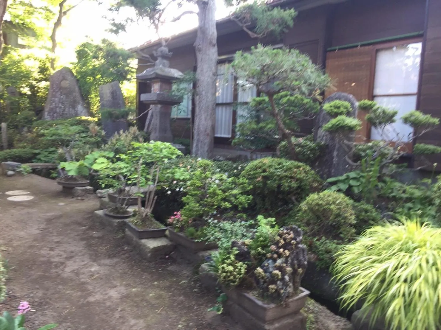 Garden in Daikokuya Mt.Fuji