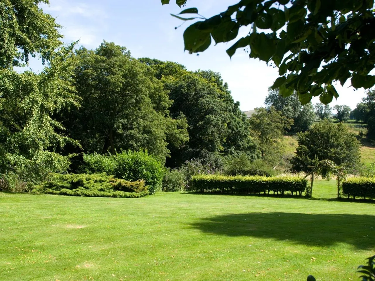 Garden in Langrish House