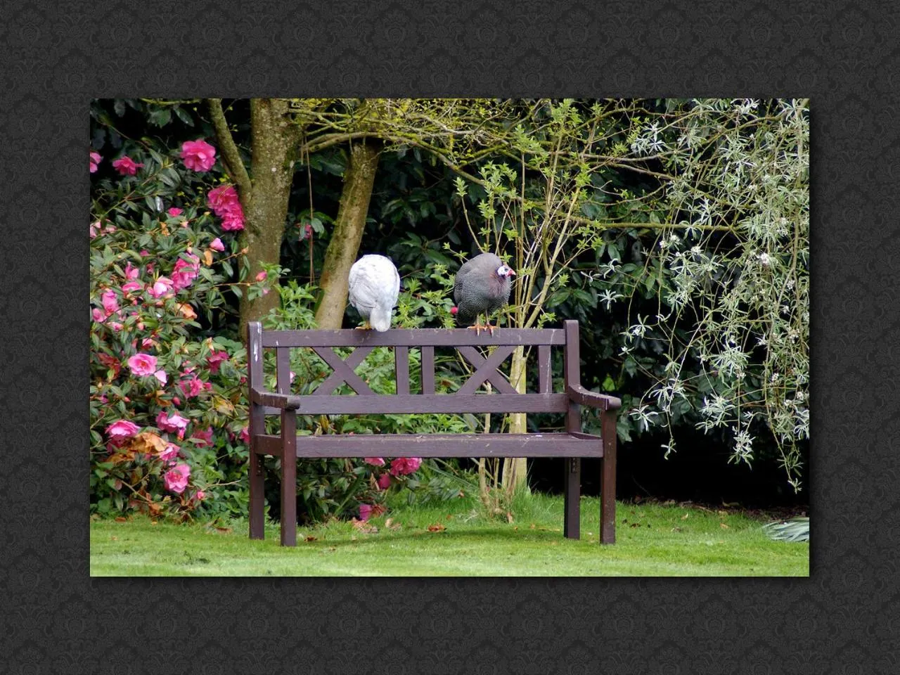 Garden in Langrish House