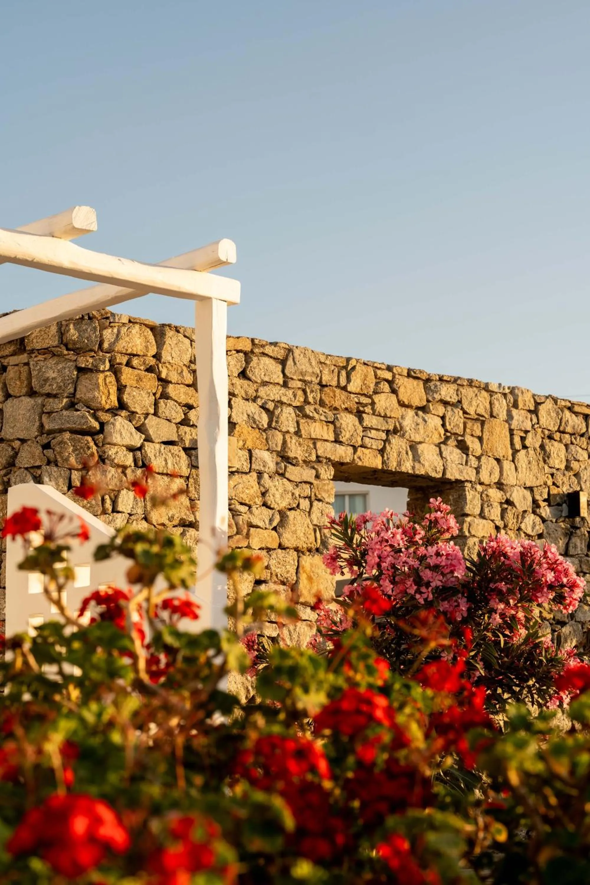 Garden in Philosophy of Mykonos Boutique Hotel