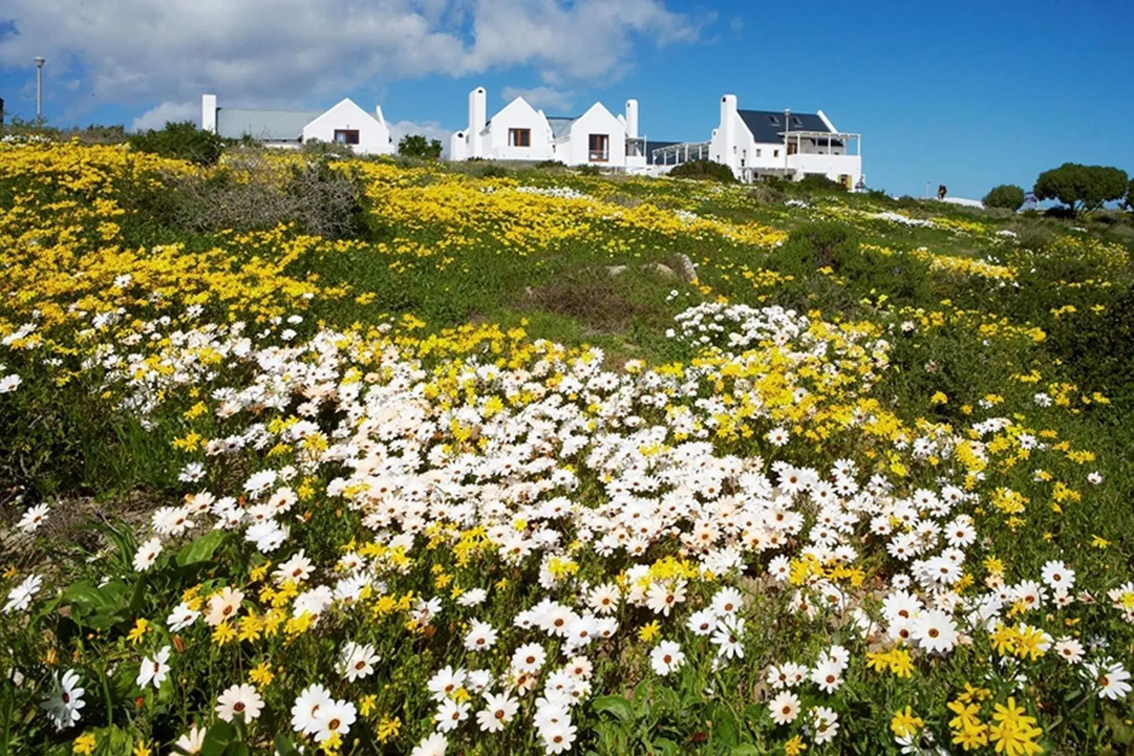 Garden view in Abalone Hotel & Villas Garden view in Abalone Hotel & Villas