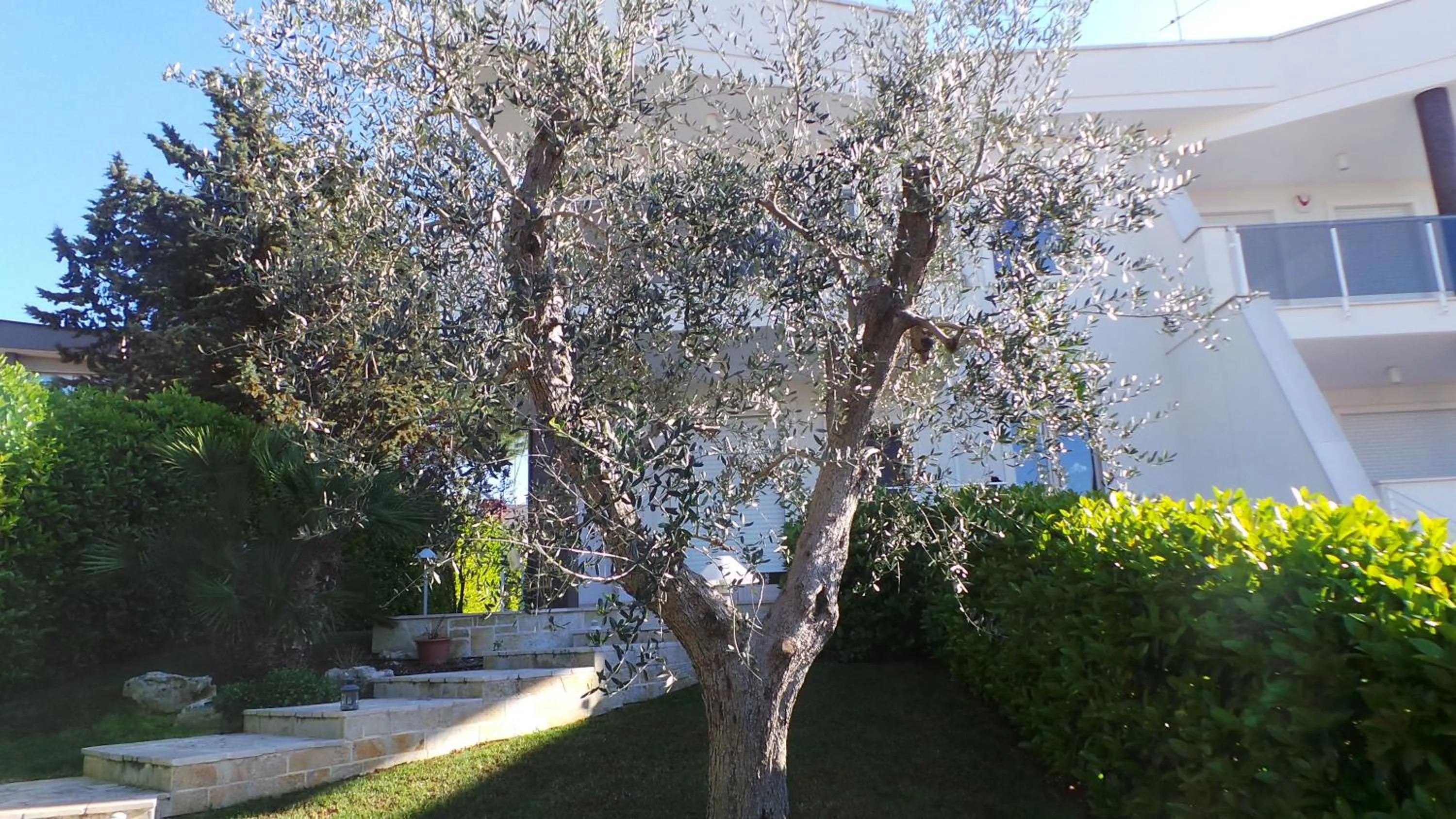 Property building in Casa Riccardo Urban B&Bio