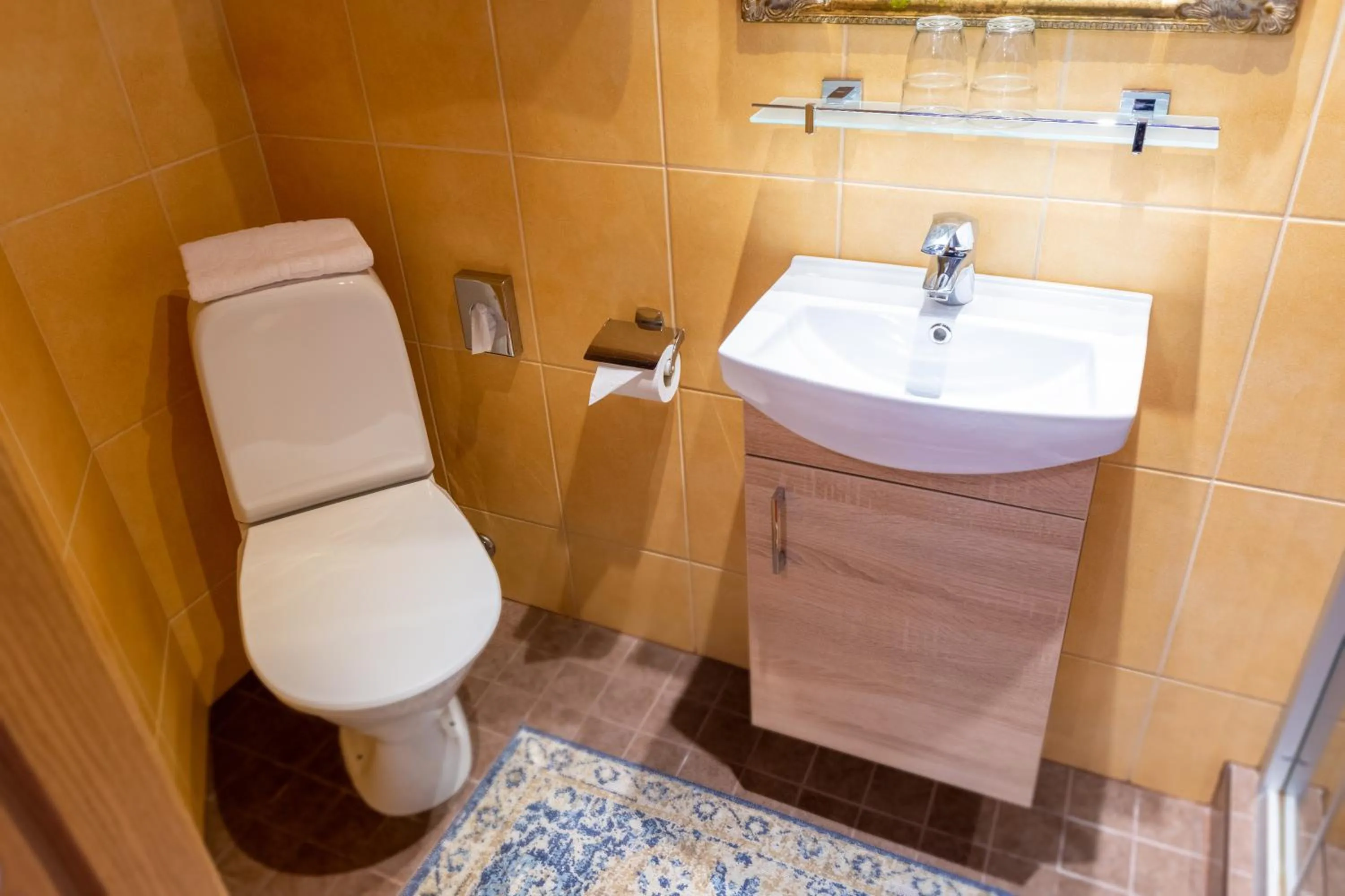 Toilet in Hansa Hotel