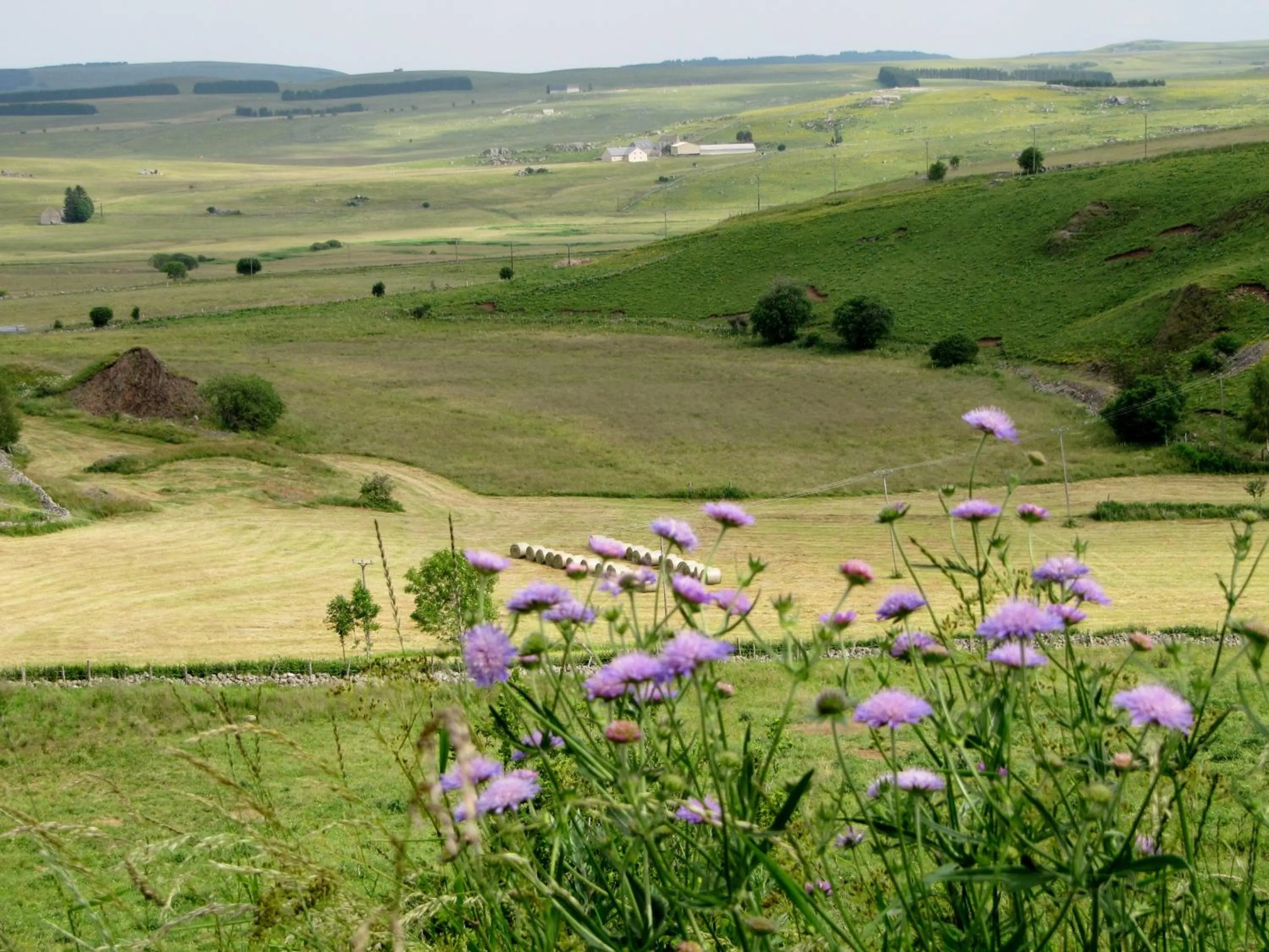 Hiking in Hôtel Des Rochers