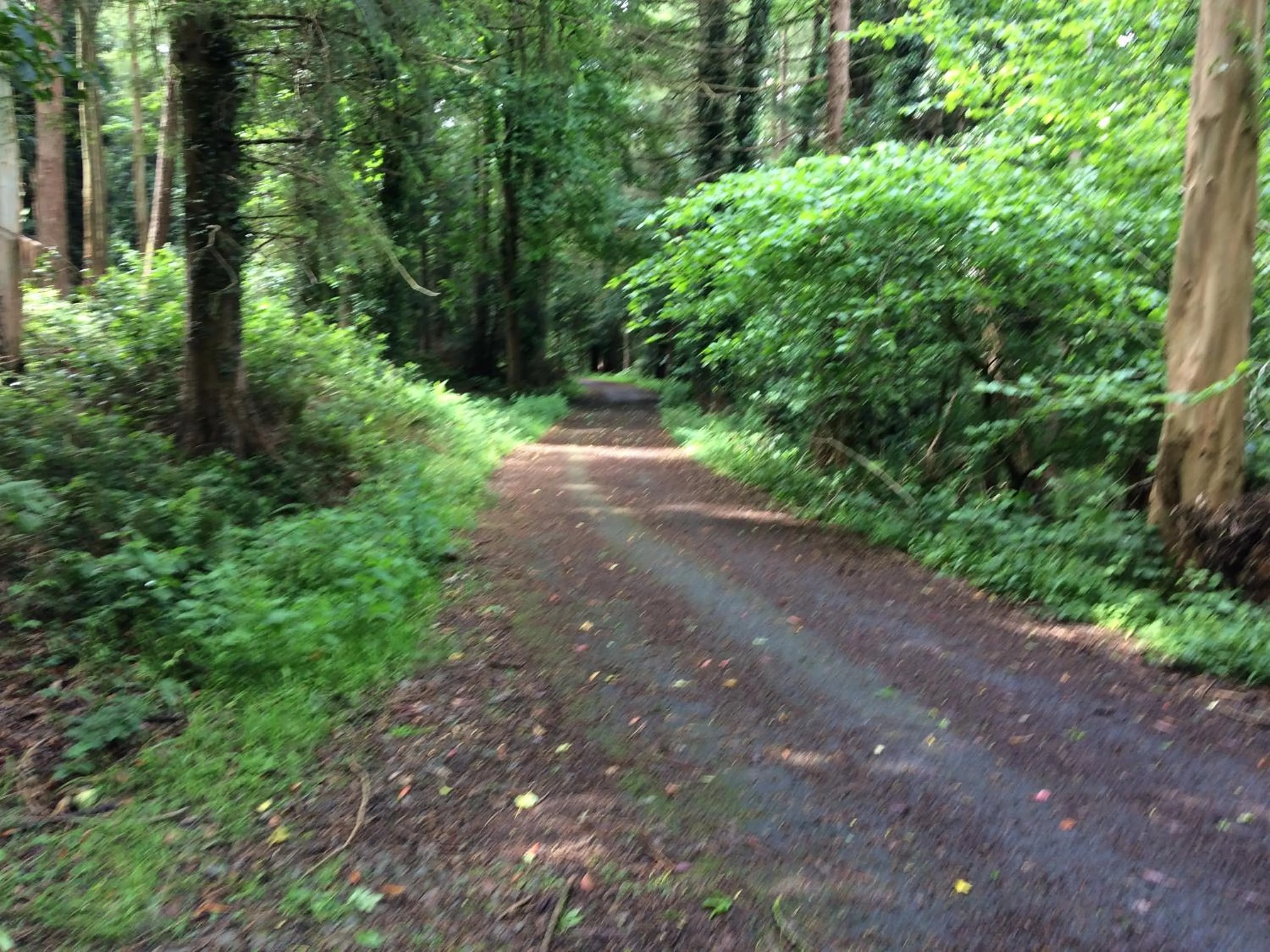 Other in Priest Bridge Cottage