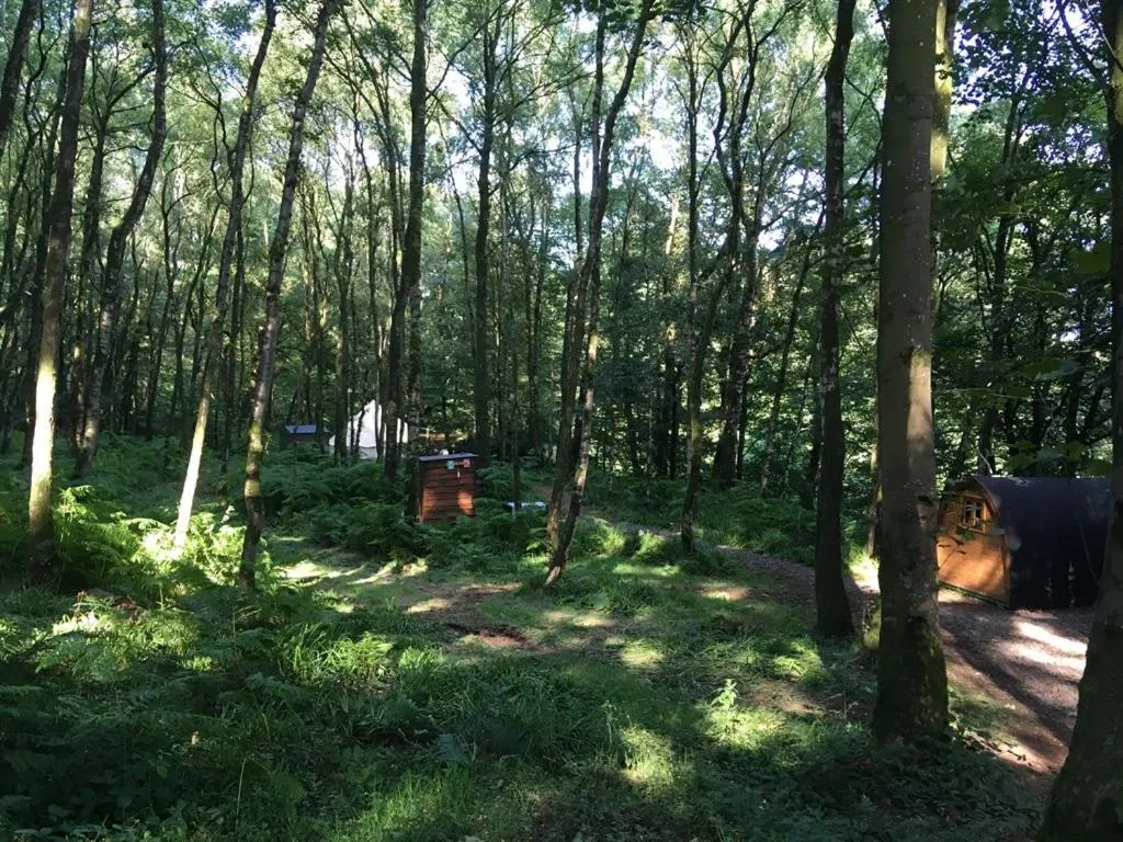 View (from property/room) in Priest Bridge Cottage