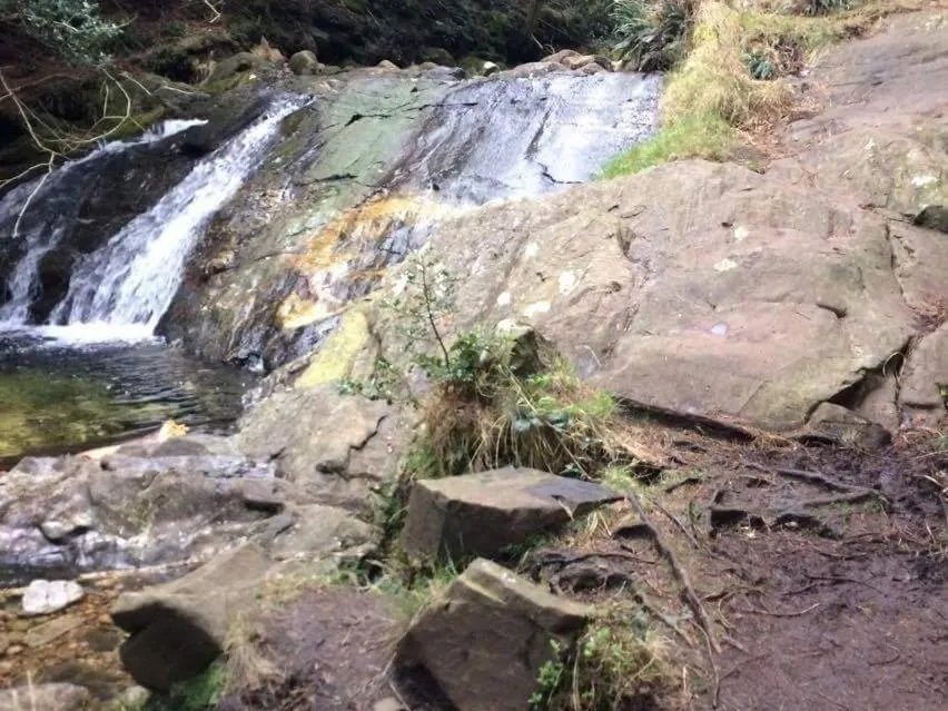 Other in Priest Bridge Cottage