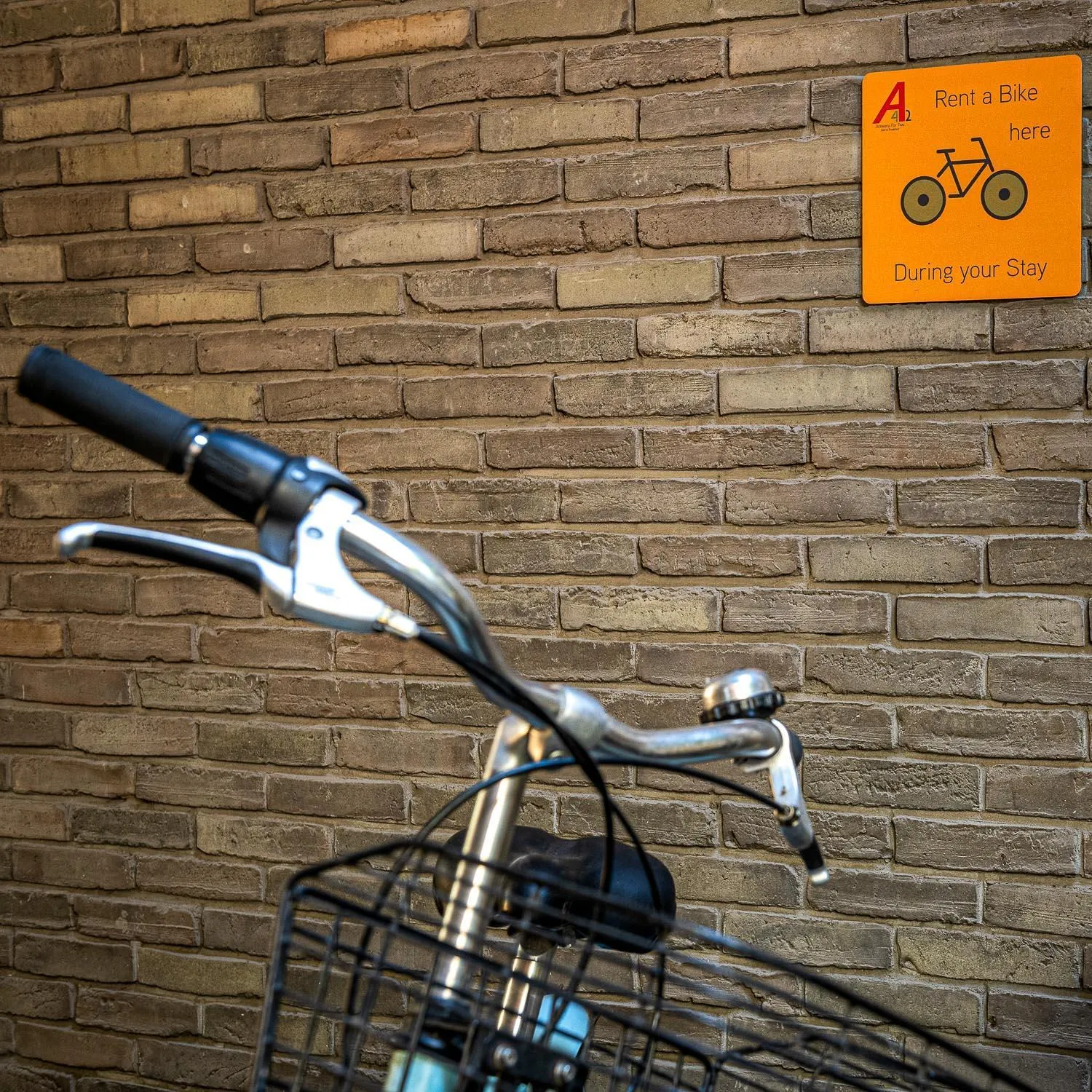 Cycling in Antwerp For Two B&B