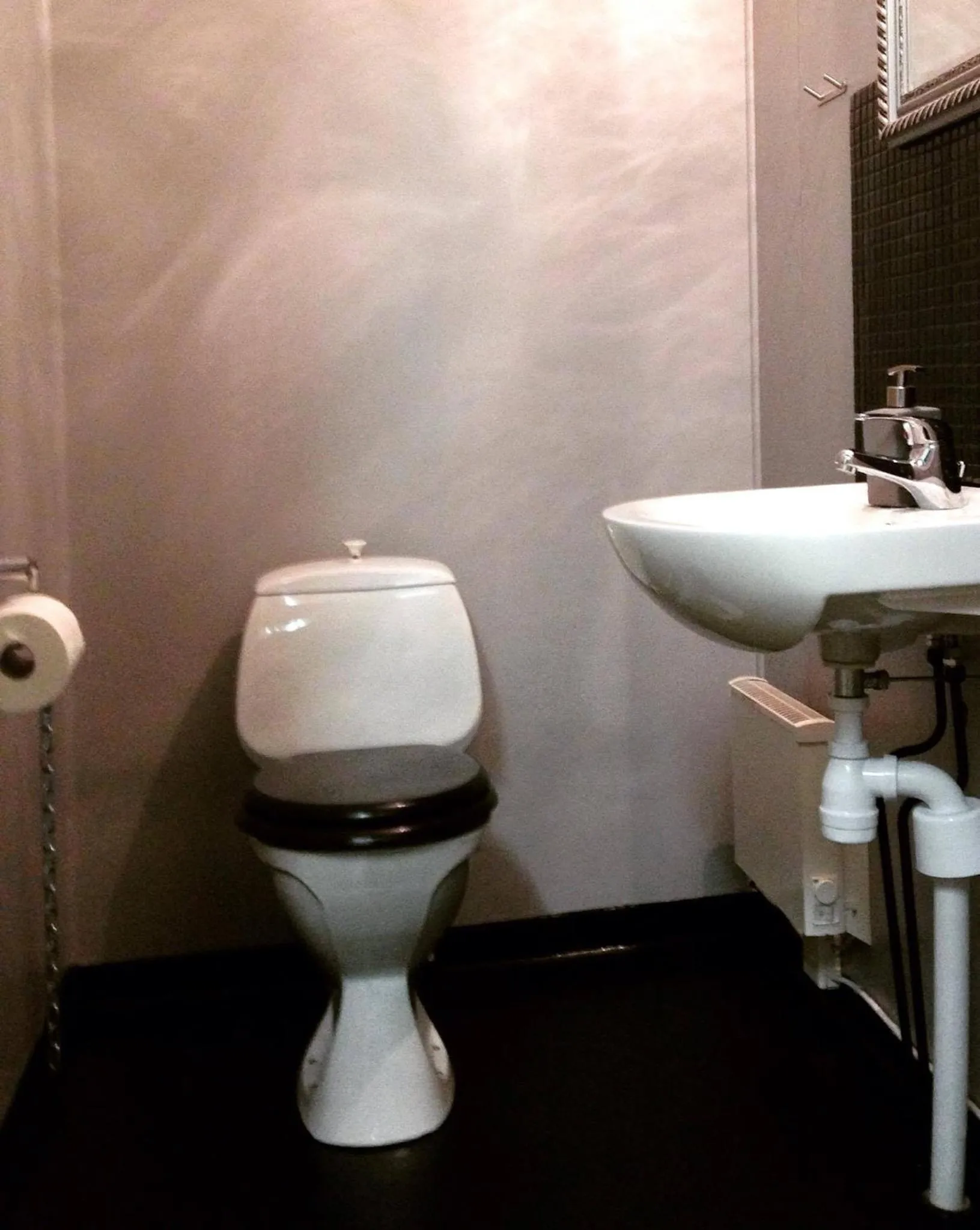 Toilet in STF Hostel Lärbro/Grannen