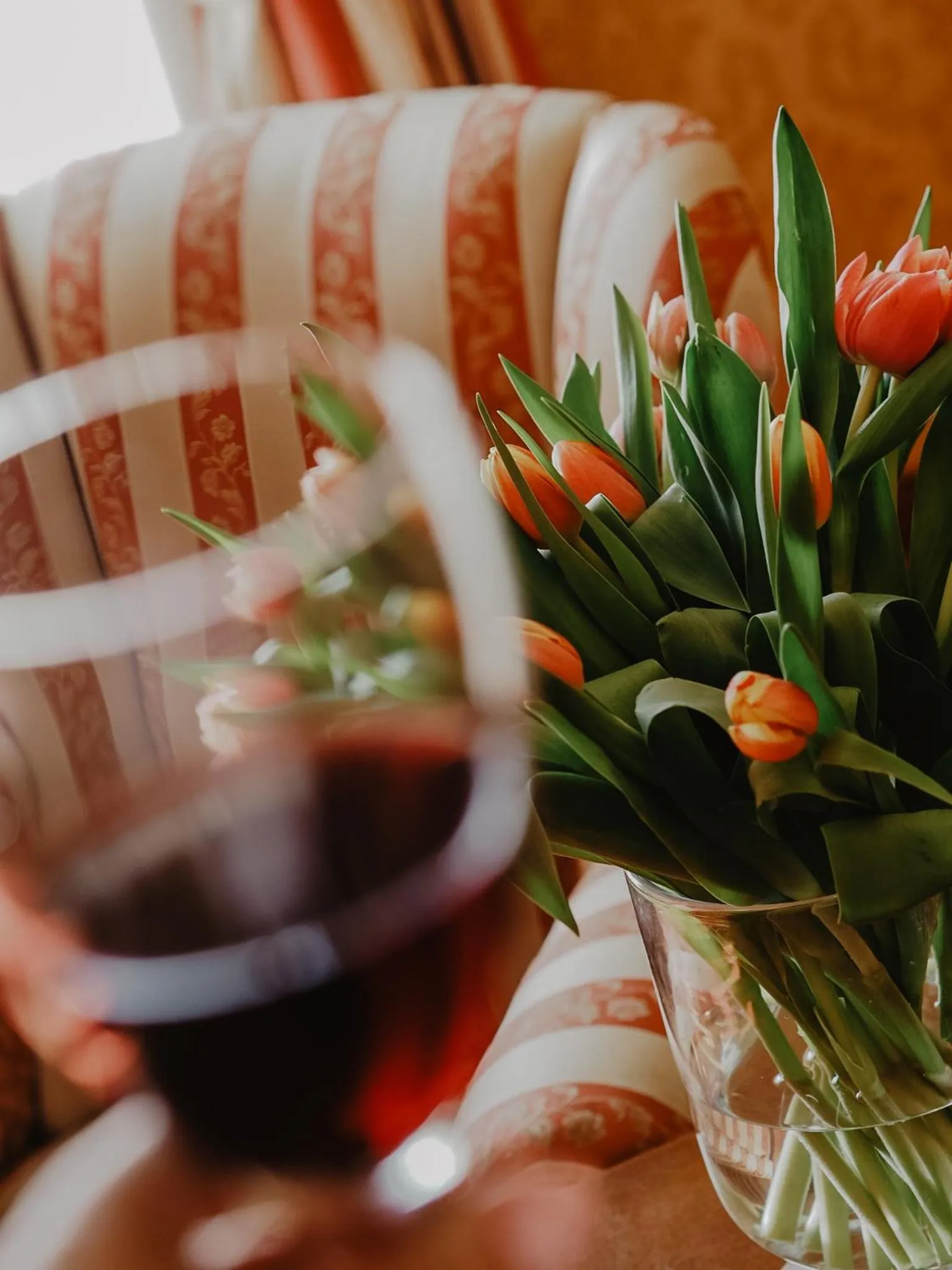 Alcoholic drinks in Hotel Delfin Spa&Wellness