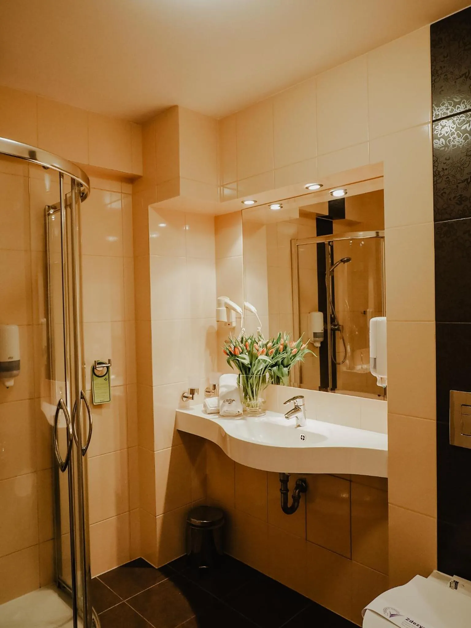 Bathroom in Hotel Delfin Spa&Wellness