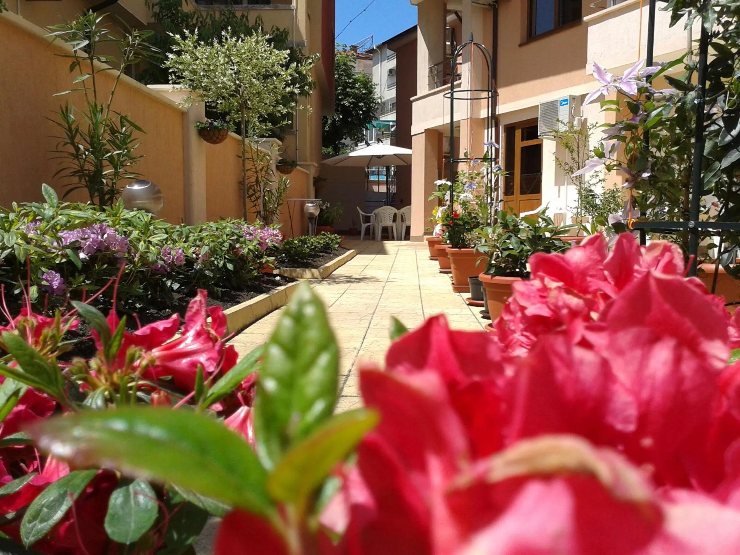 Garden in Hotel Chuchulev