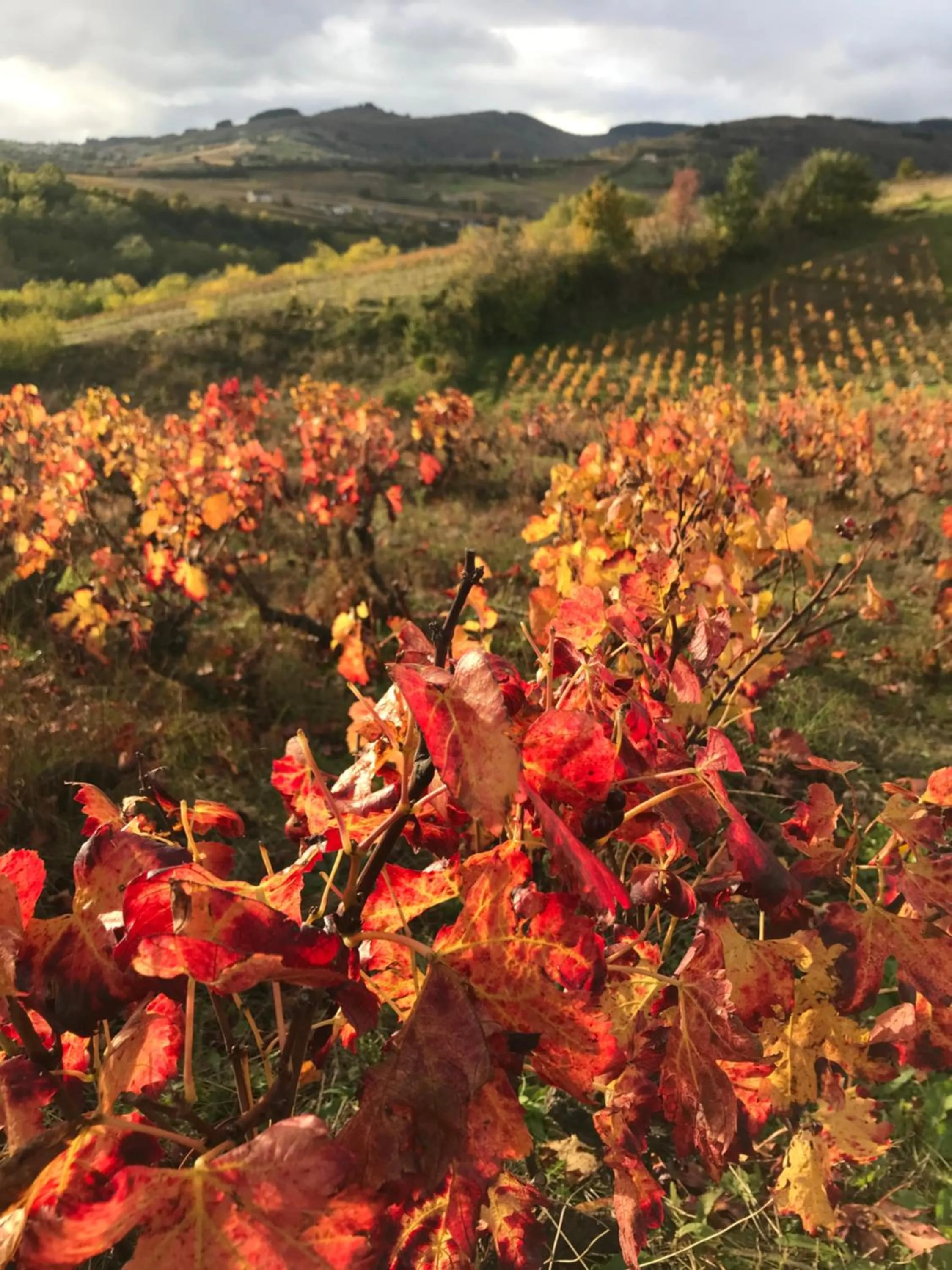 Natural landscape in Chambres d'hôtes Vers la Croix