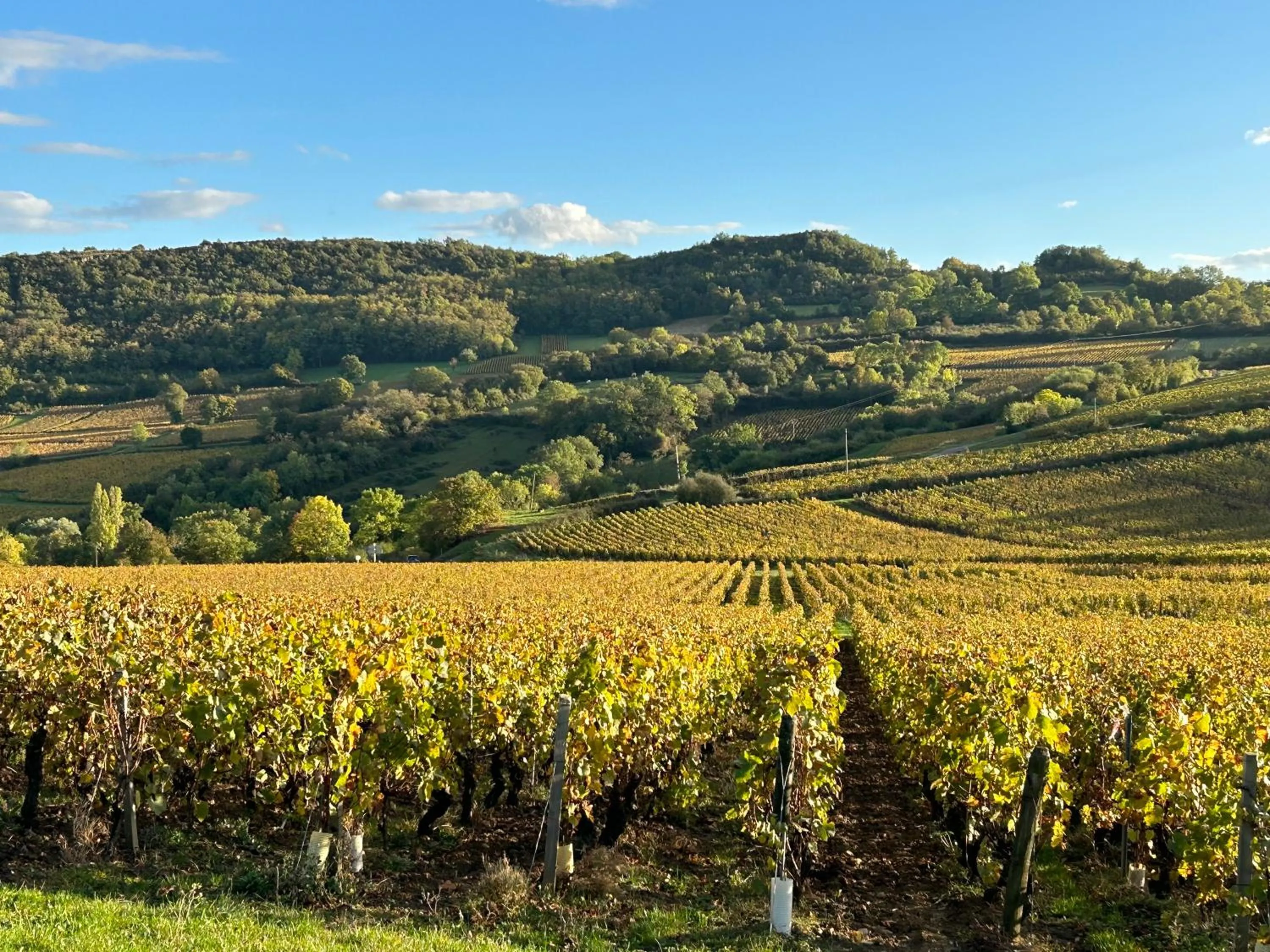 Natural landscape in Chambres d'hôtes Vers la Croix