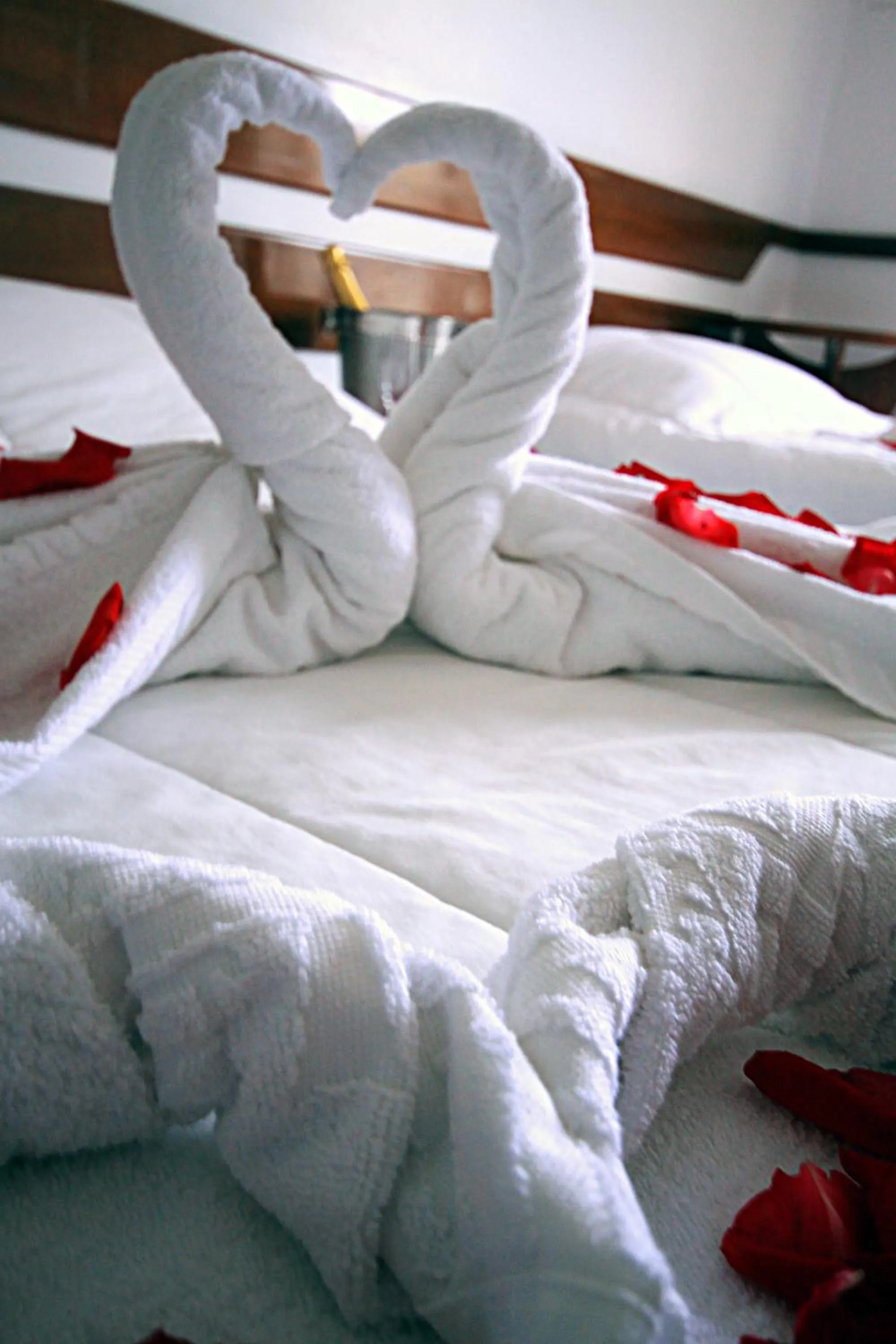 Decorative detail, Bed in Hotel Casa Branca