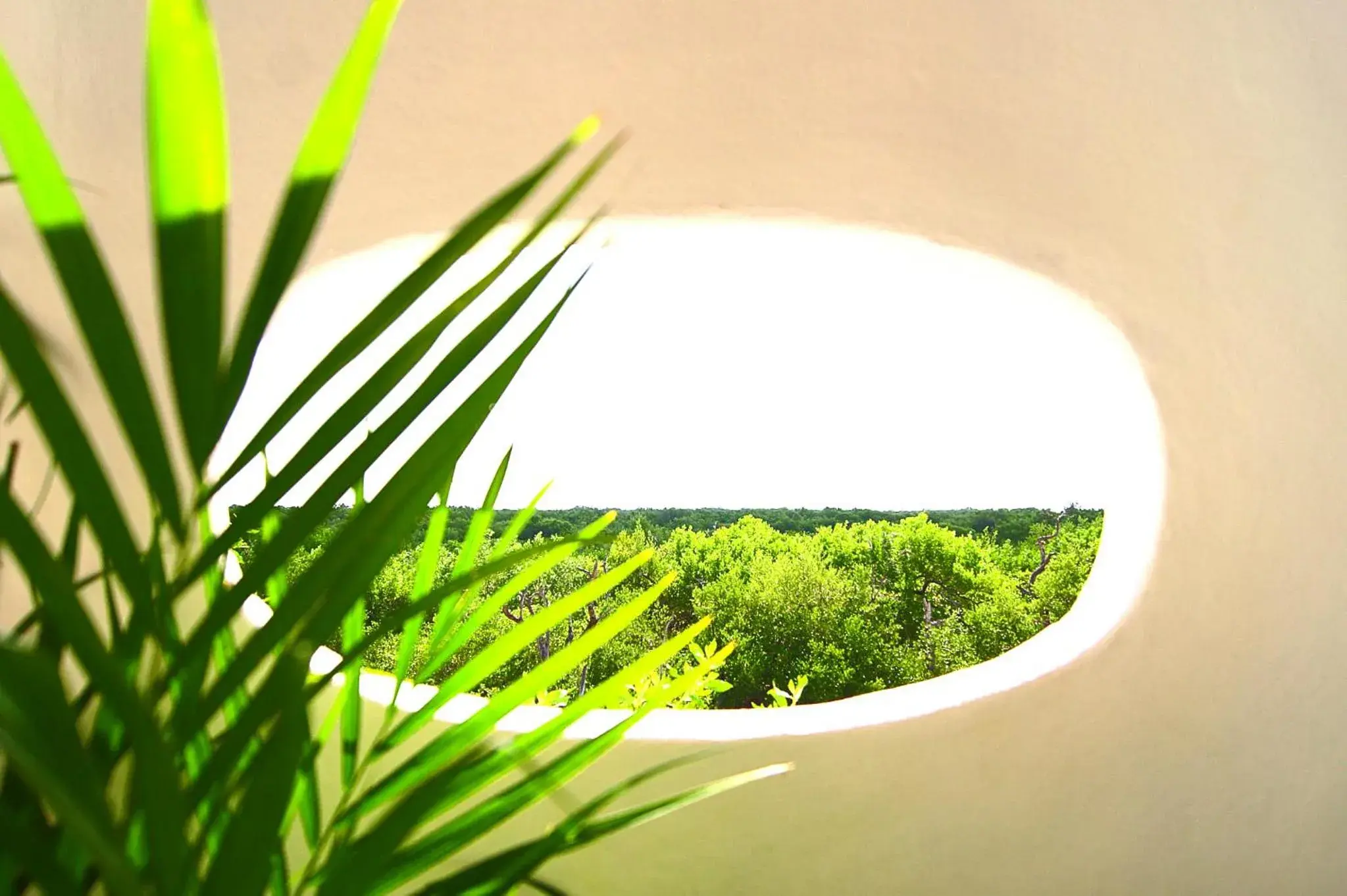 Garden view in Hotel Villas Flamingos Garden view in Hotel Villas Flamingos