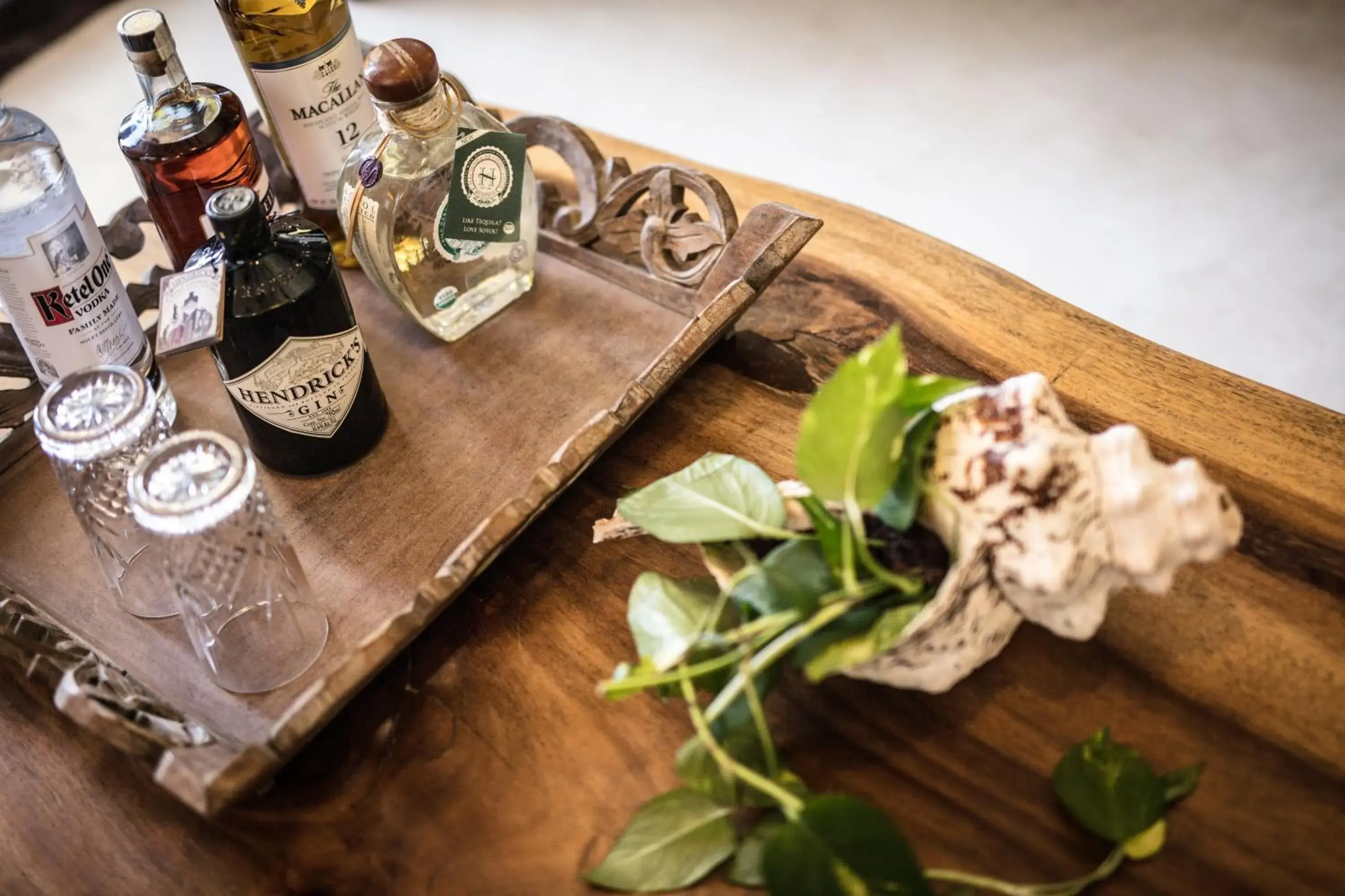 Food and drinks in Hotel Villas Flamingos Food and drinks in Hotel Villas Flamingos