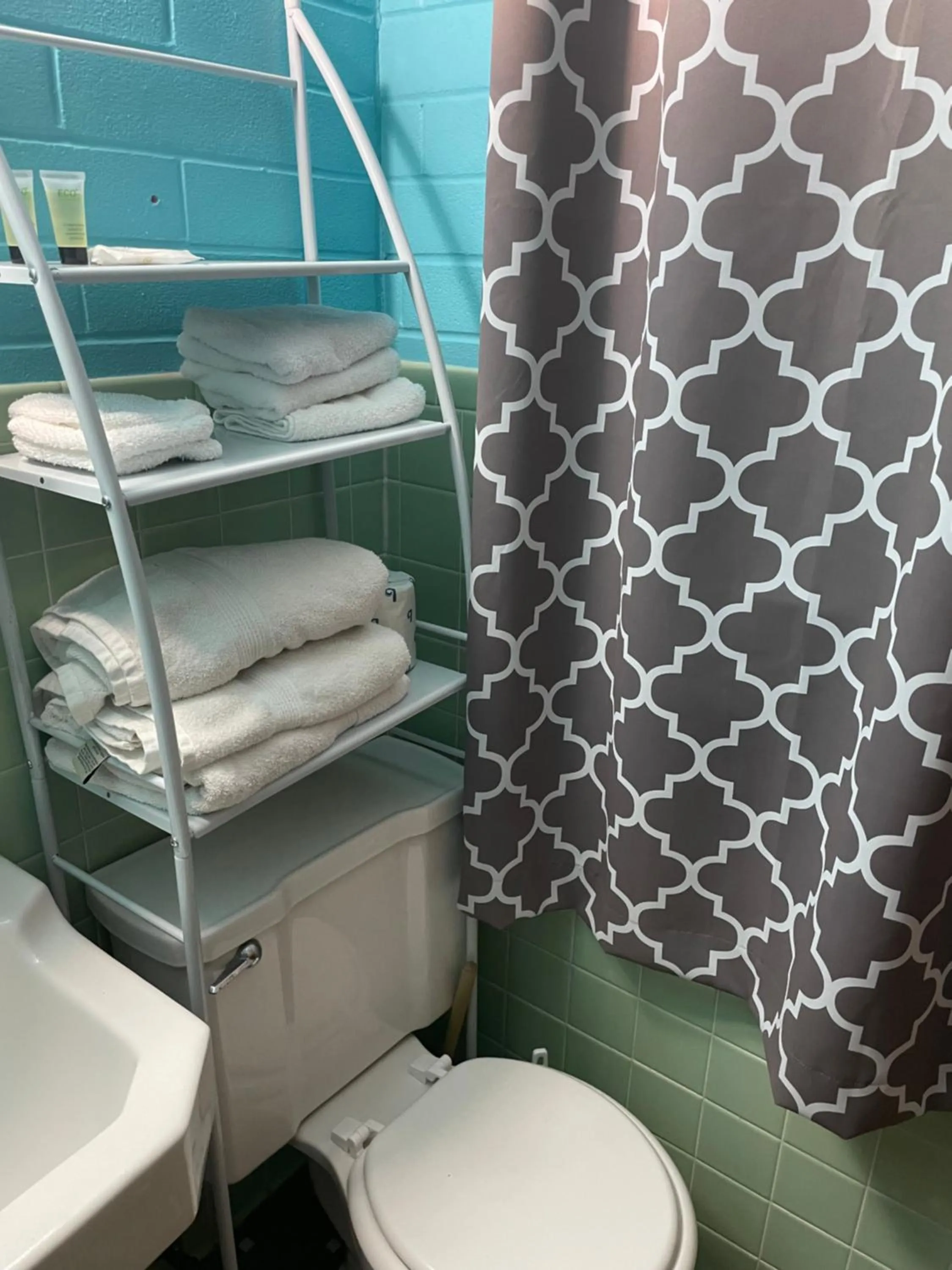 Toilet in Lake Point Motel