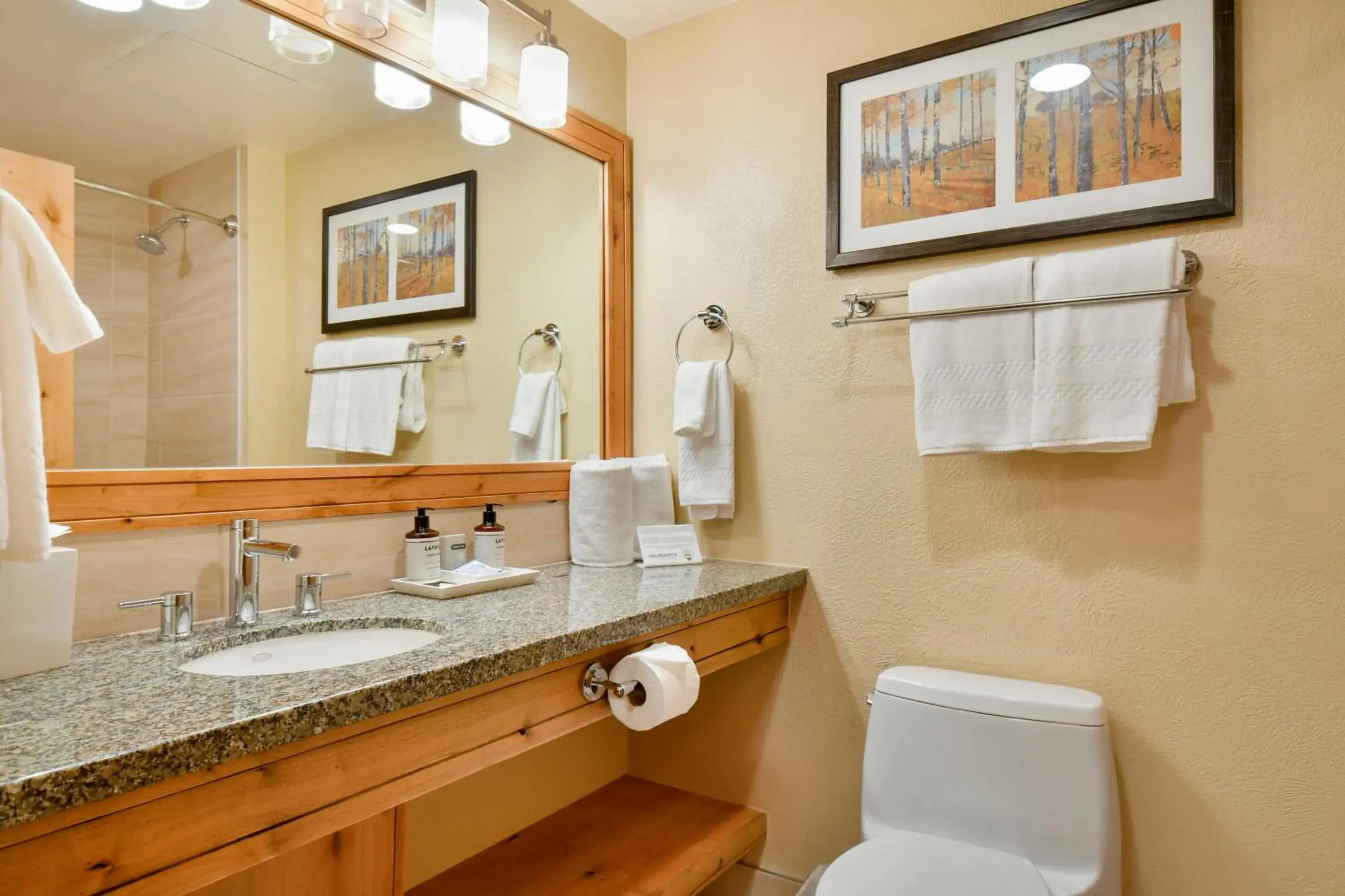 Bathroom in Grand Summit Lodge Park City - Canyons Village