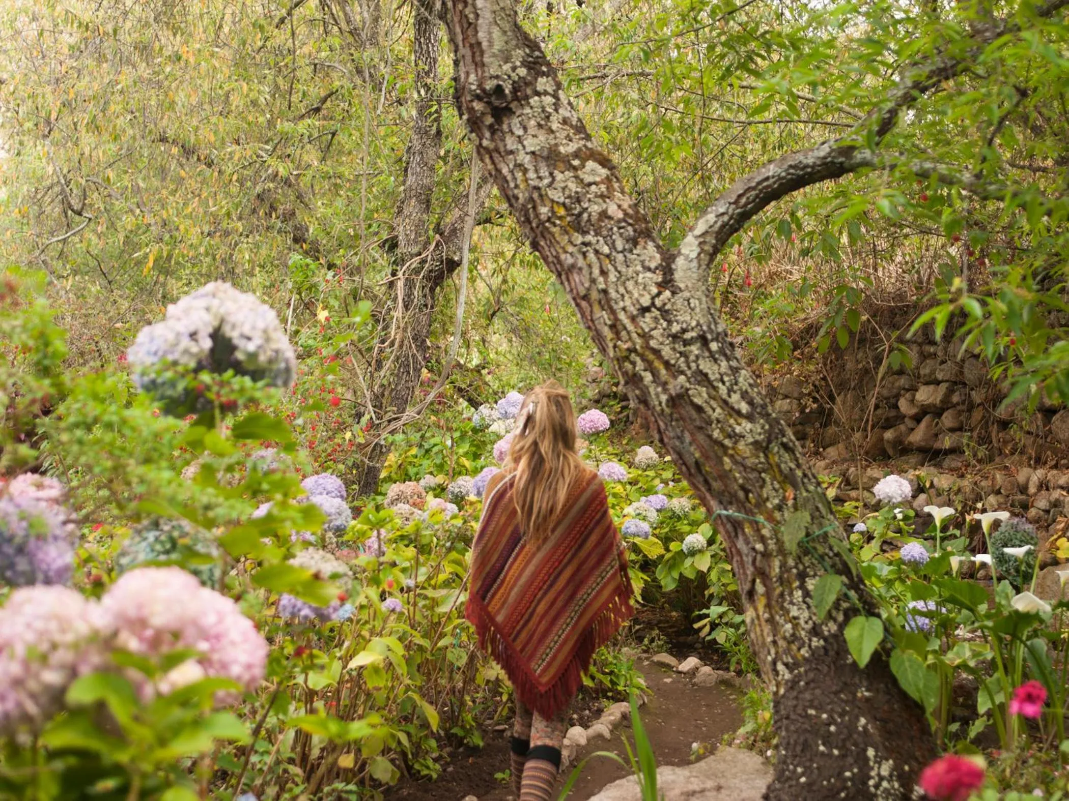 Garden in Willka T'ika