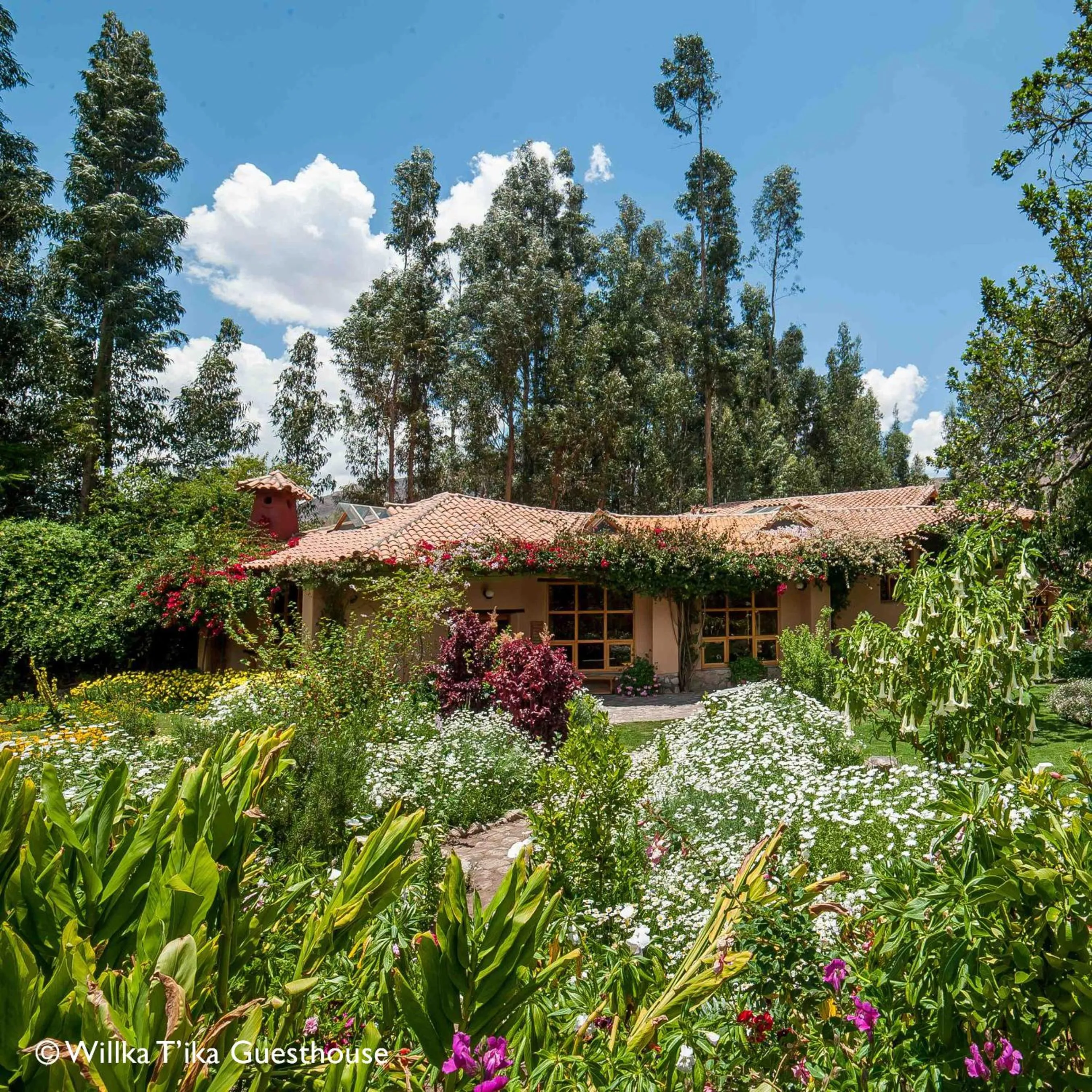 Property building in Willka T'ika