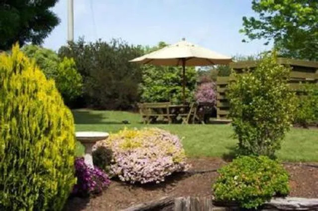 Garden in Mansfield Valley Motor Inn