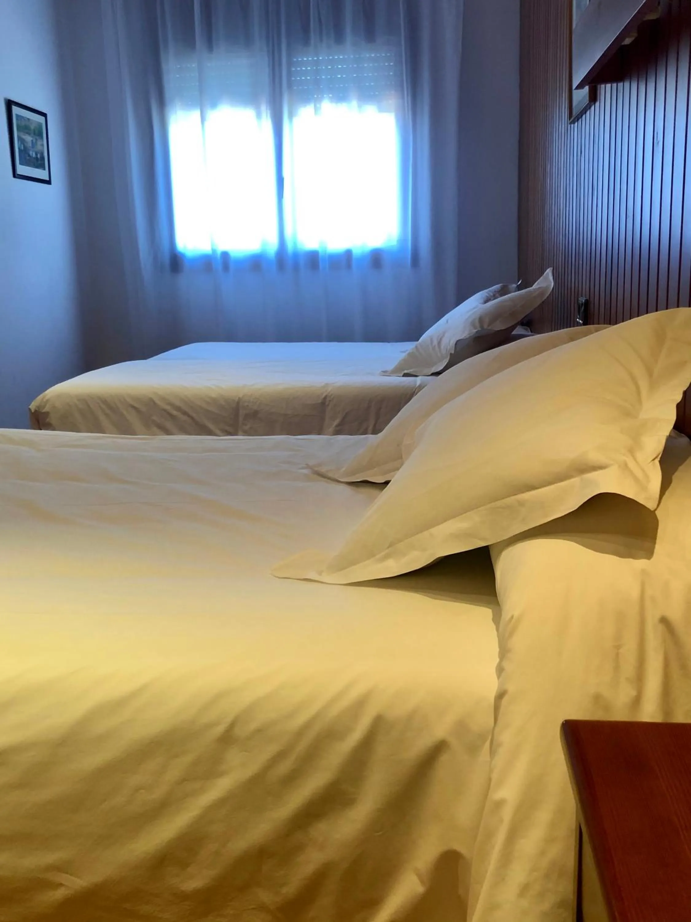 Bed in Hotel Solana del Ter