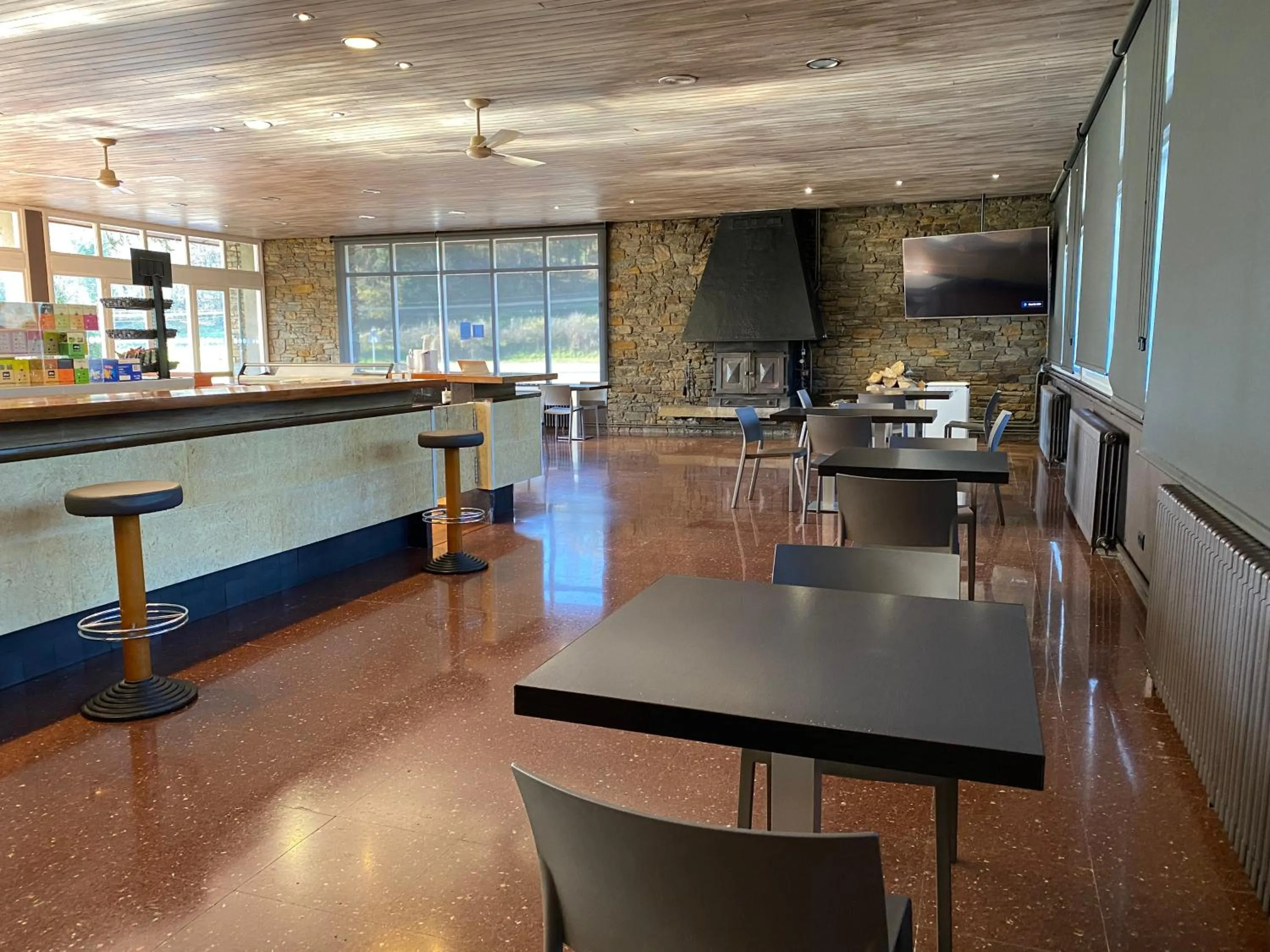 Lounge or bar in Hotel Solana del Ter