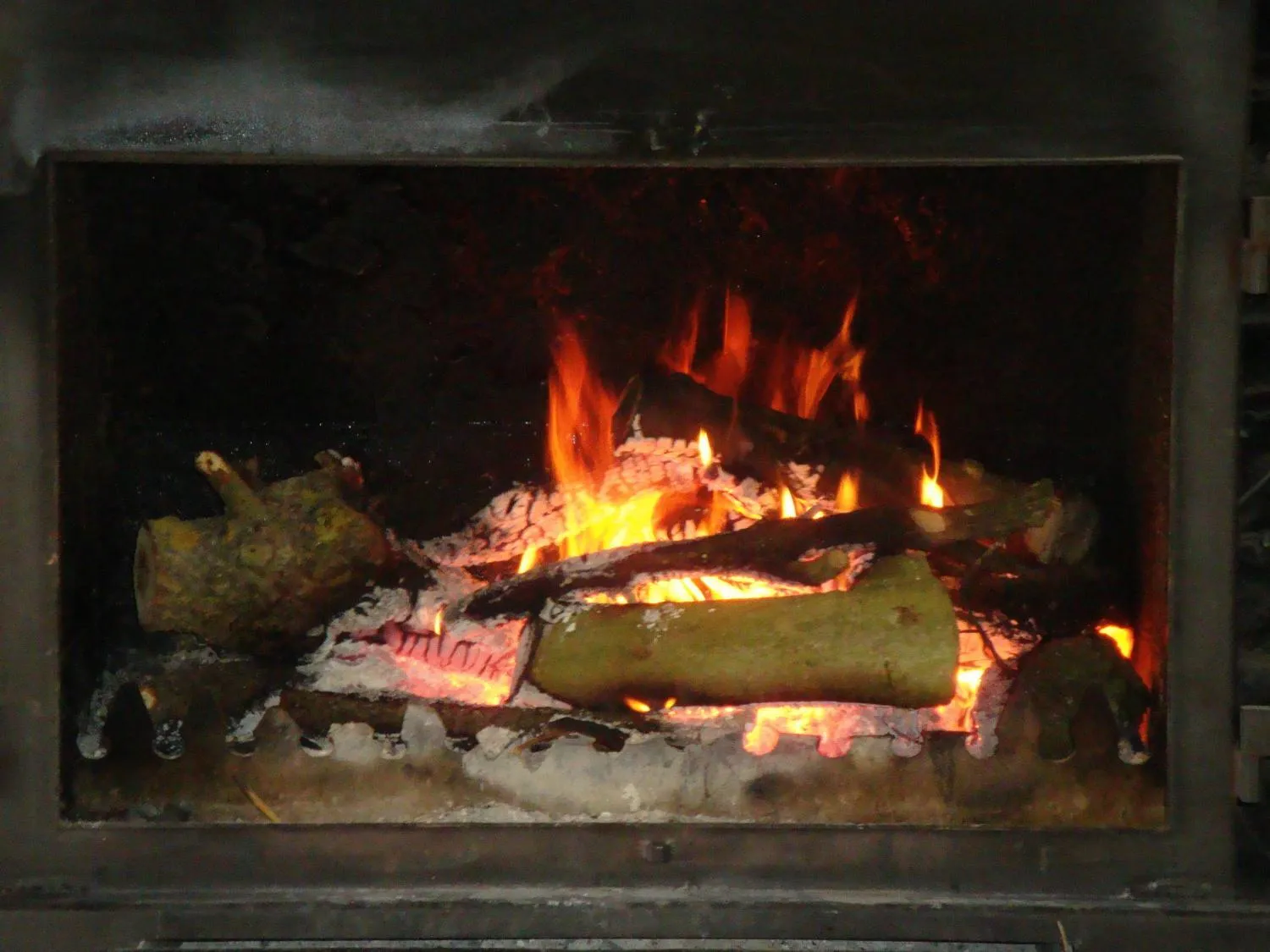 Entertainment in Hotel Solana del Ter