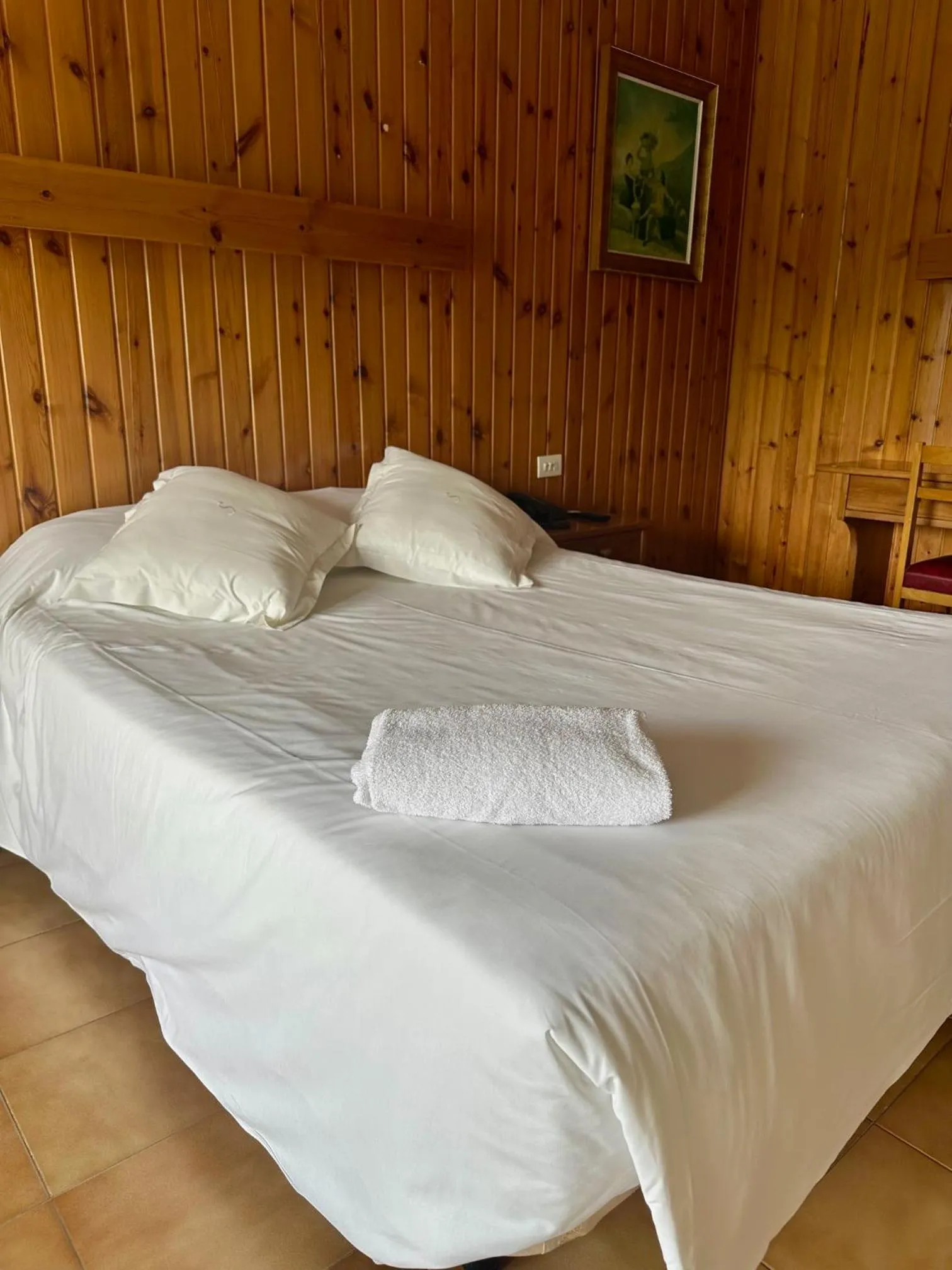 Bed in Hotel Solana del Ter