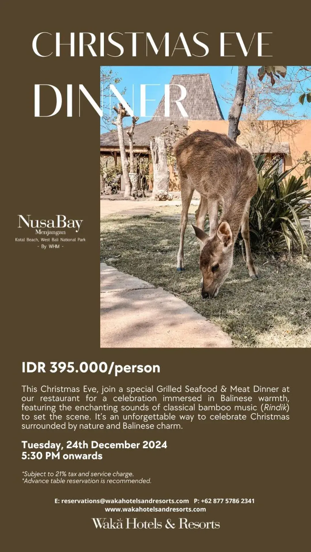 Lanai Cottage Ocean View with Free Snorkeling at House Reef in NusaBay Menjangan Lanai Cottage Ocean View with Free Snorkeling at House Reef in NusaBay Menjangan