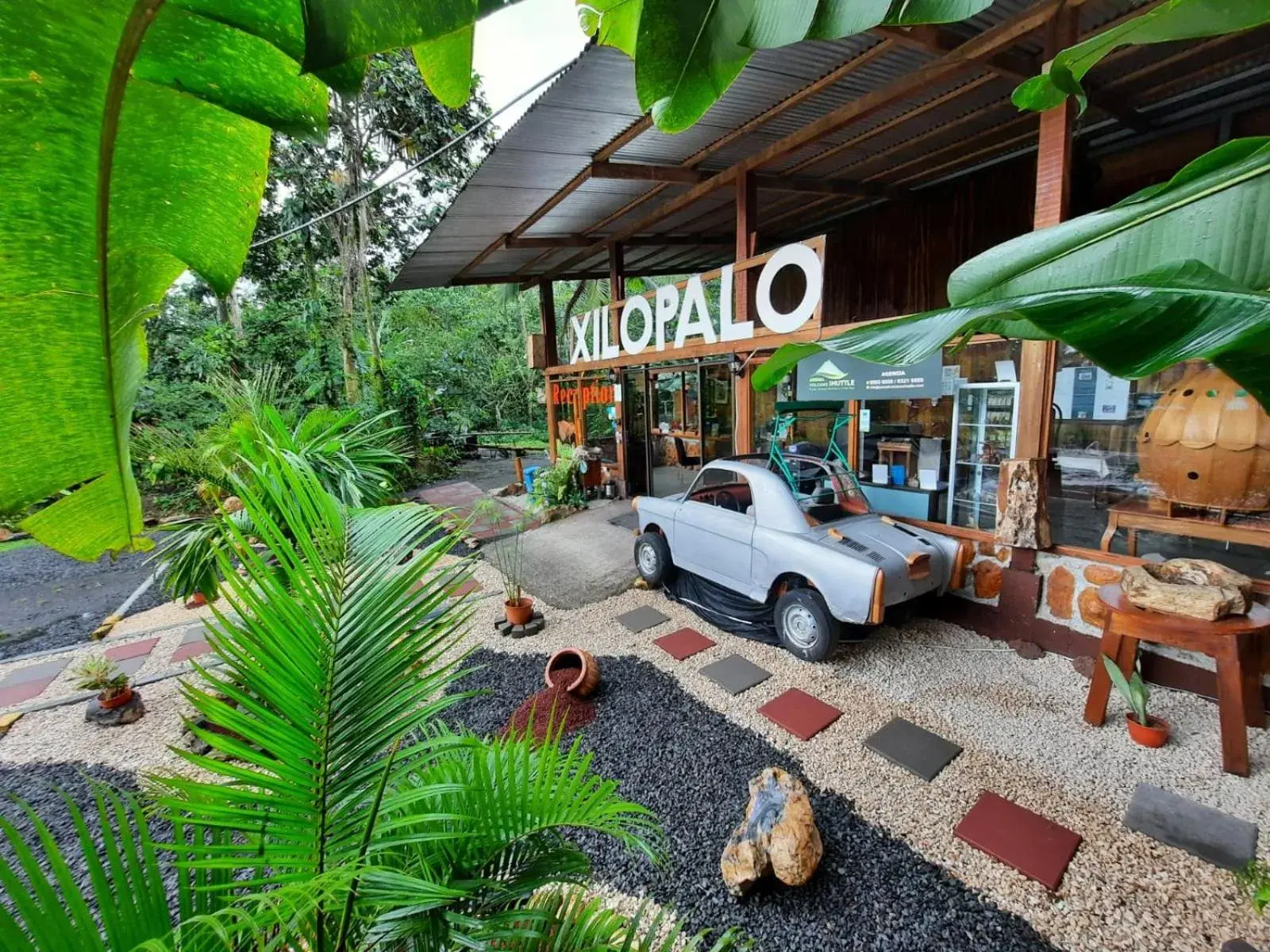 Garden view in Arenal Xilopalo Garden view in Arenal Xilopalo