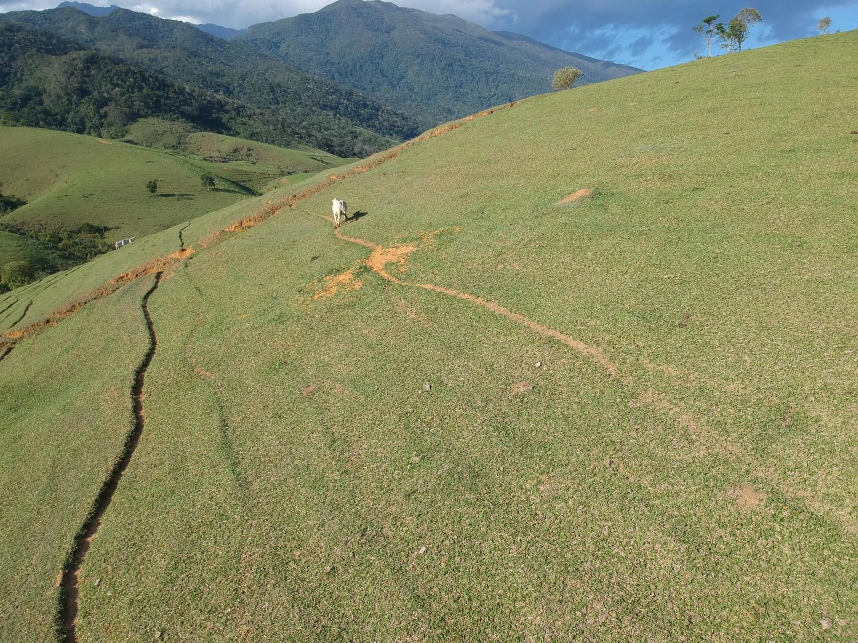 Natural landscape in Pousada Sitio Barreirinha