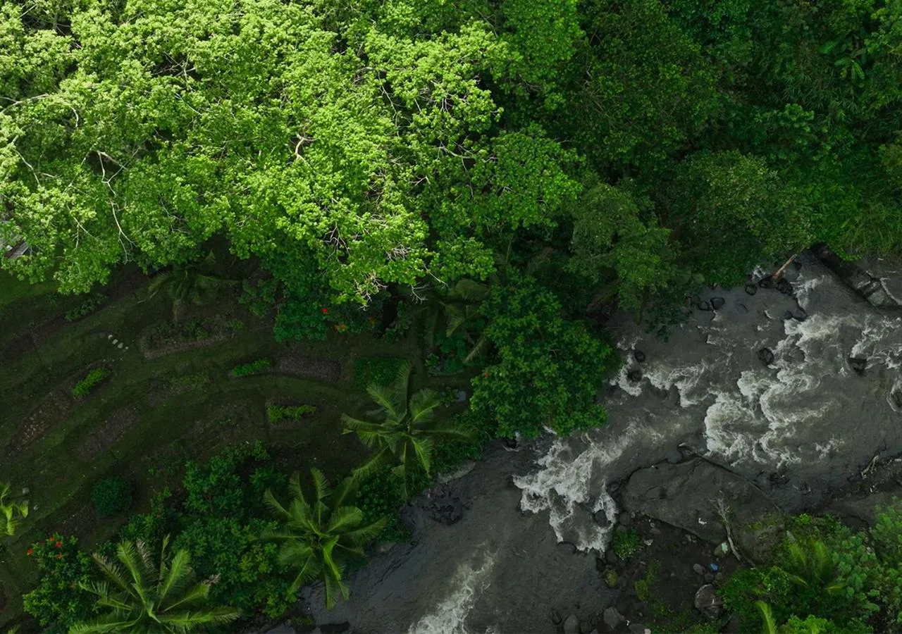 Day in Kayumanis Ubud Private Villas & Spa