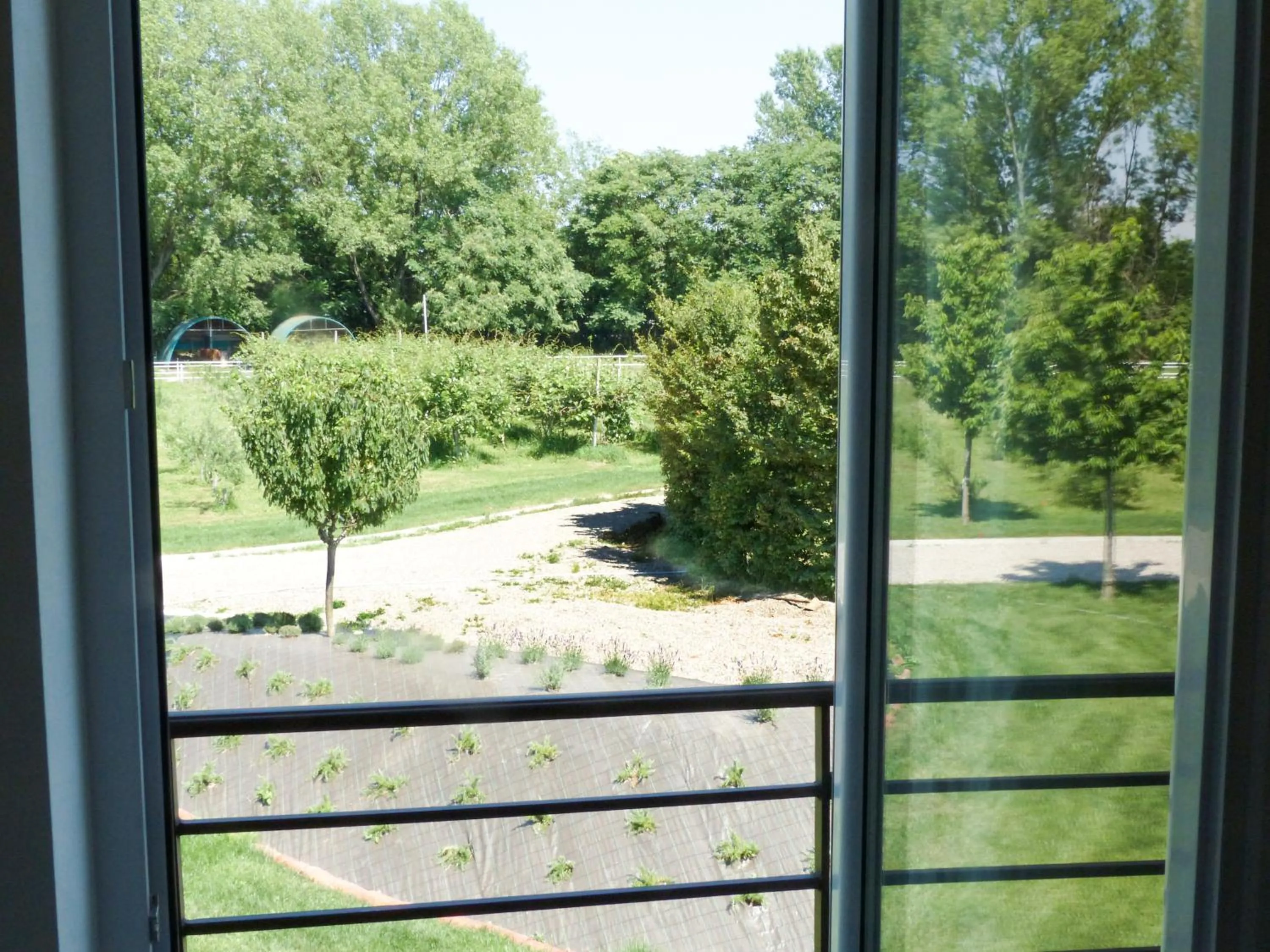 Garden view in Agriturismo Dolce Luna