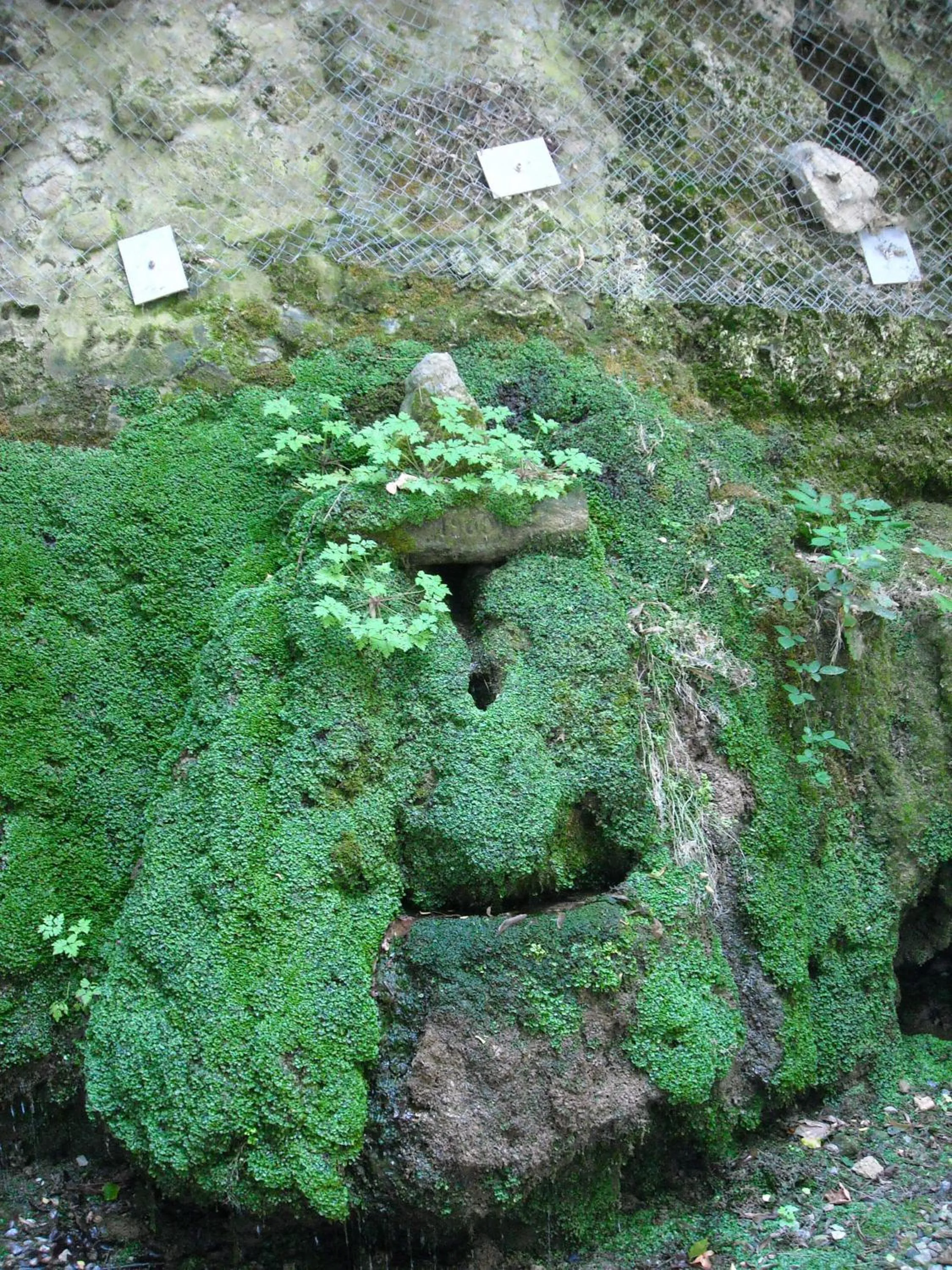 Nearby landmark in Hotel Portici