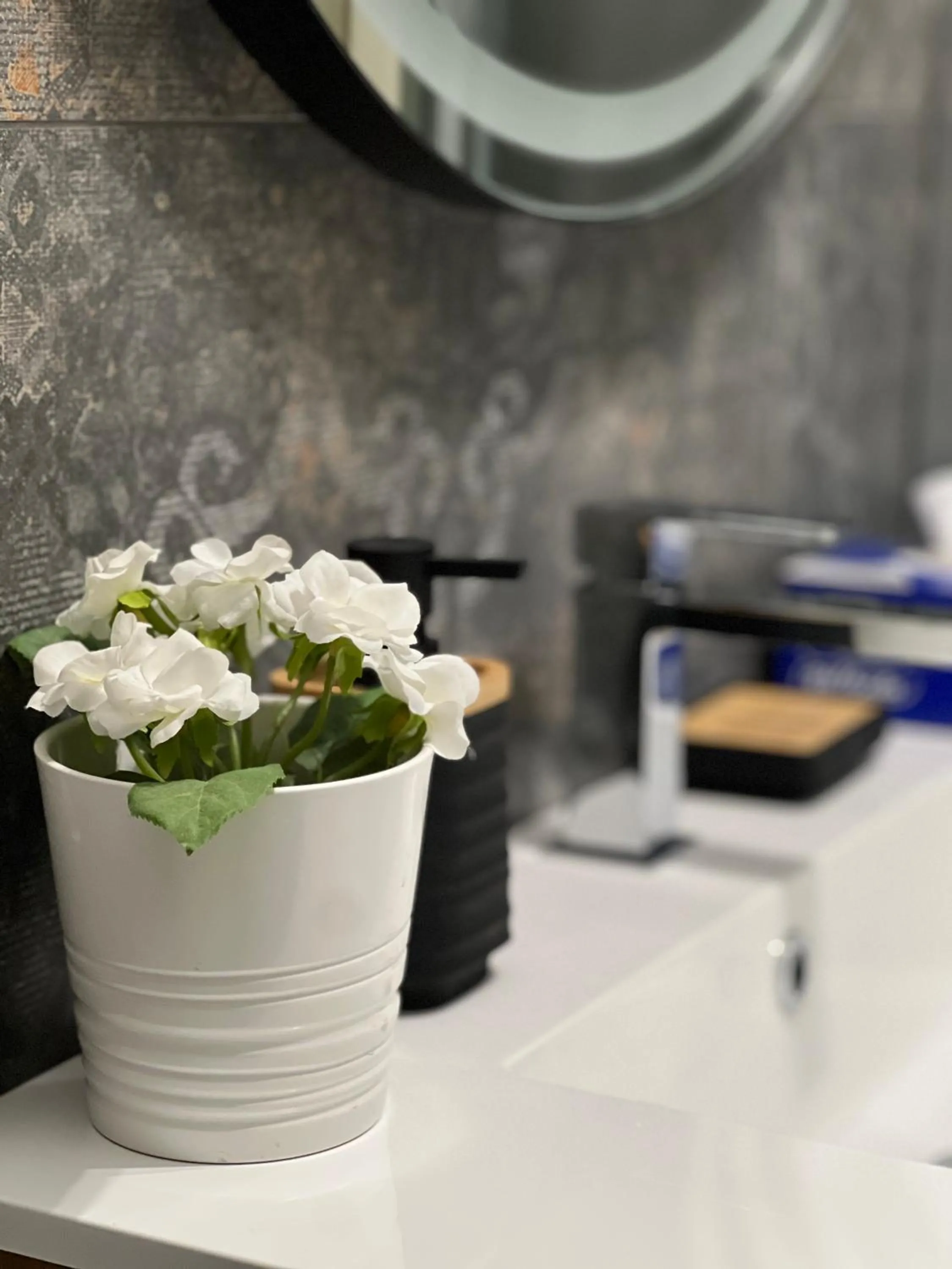 Plumbird Boutique & Apartment