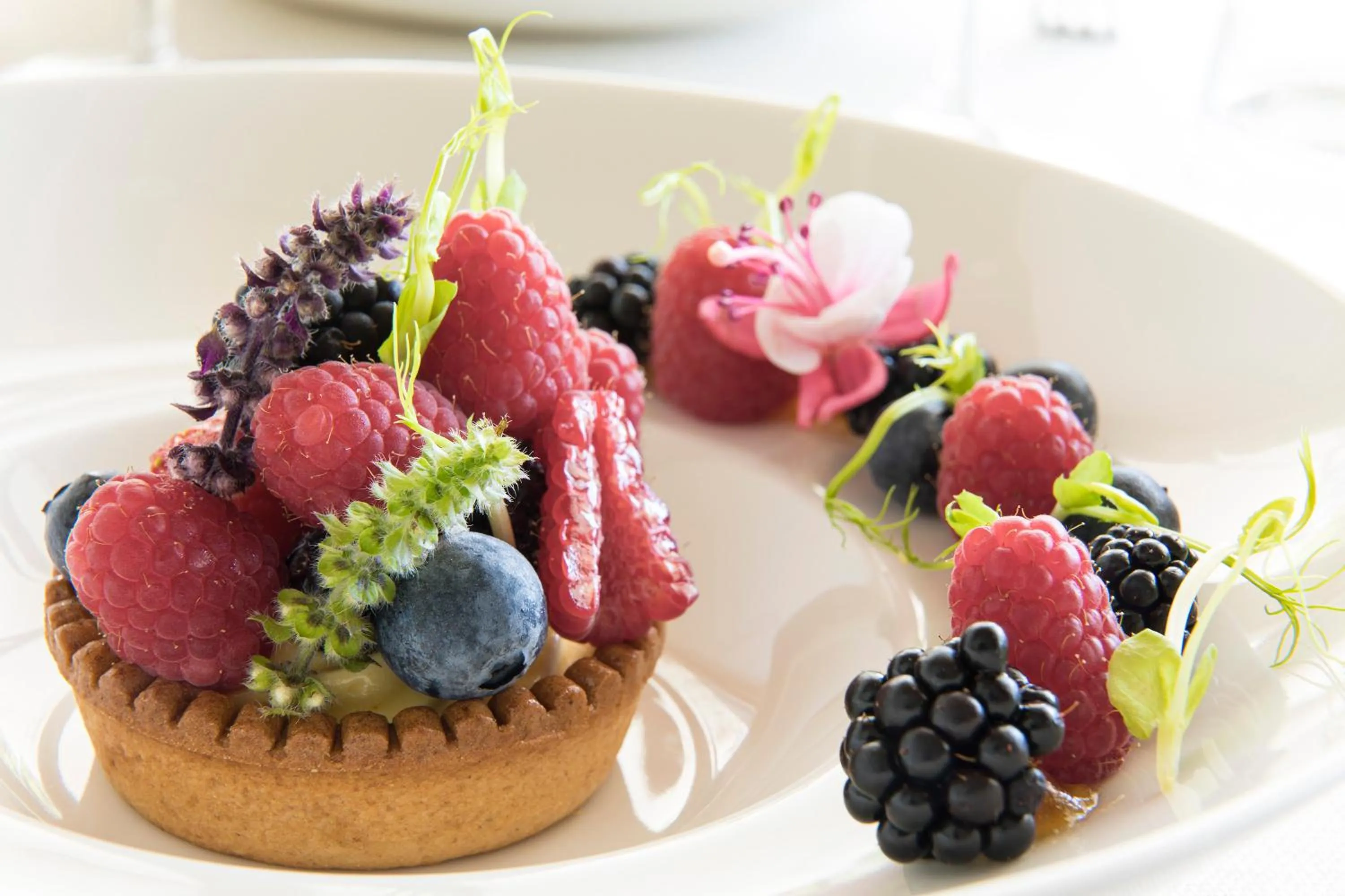 Food close-up in Hotel Byron Bellavista