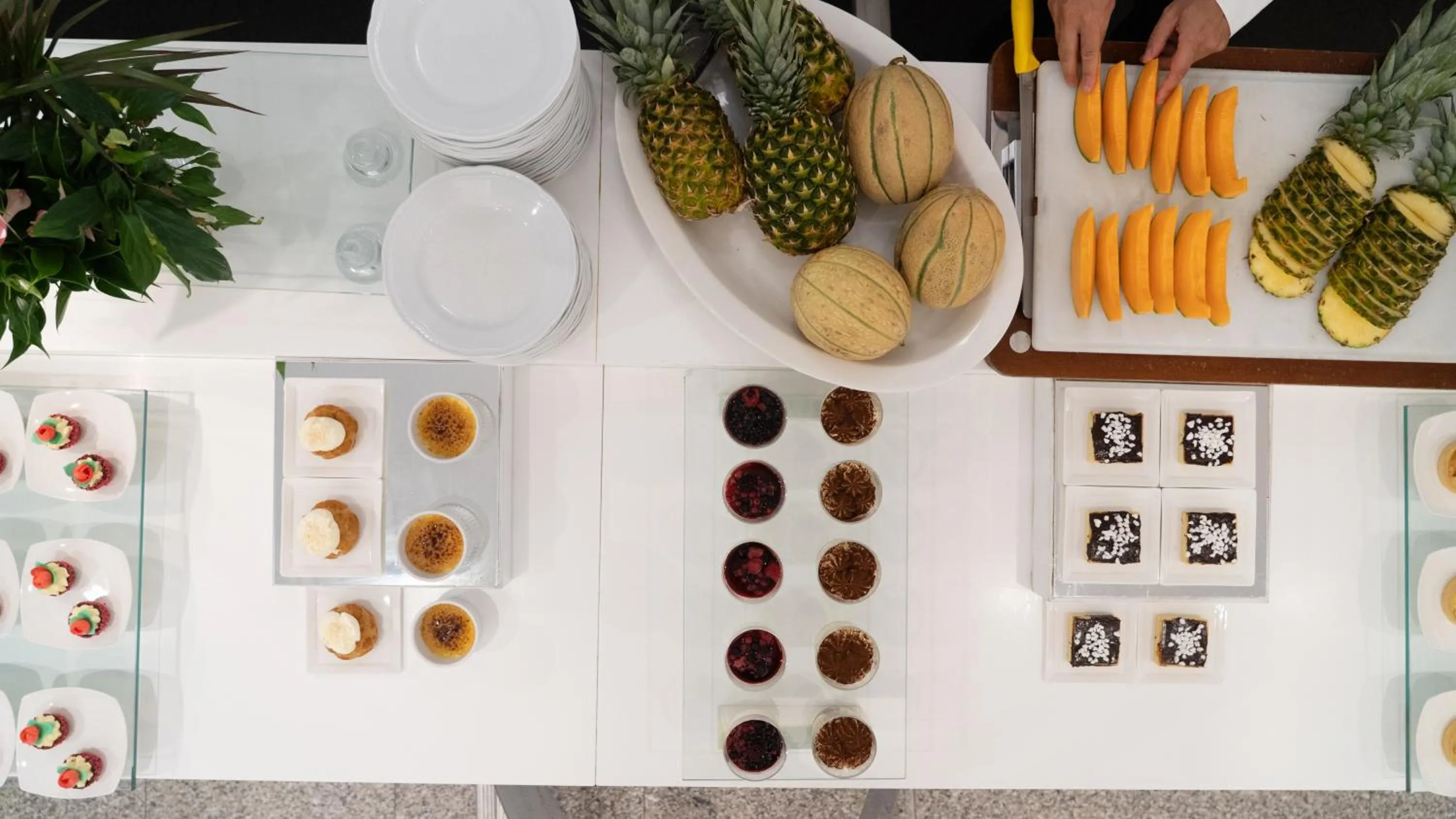 Restaurant/places to eat in Hotel Imperial