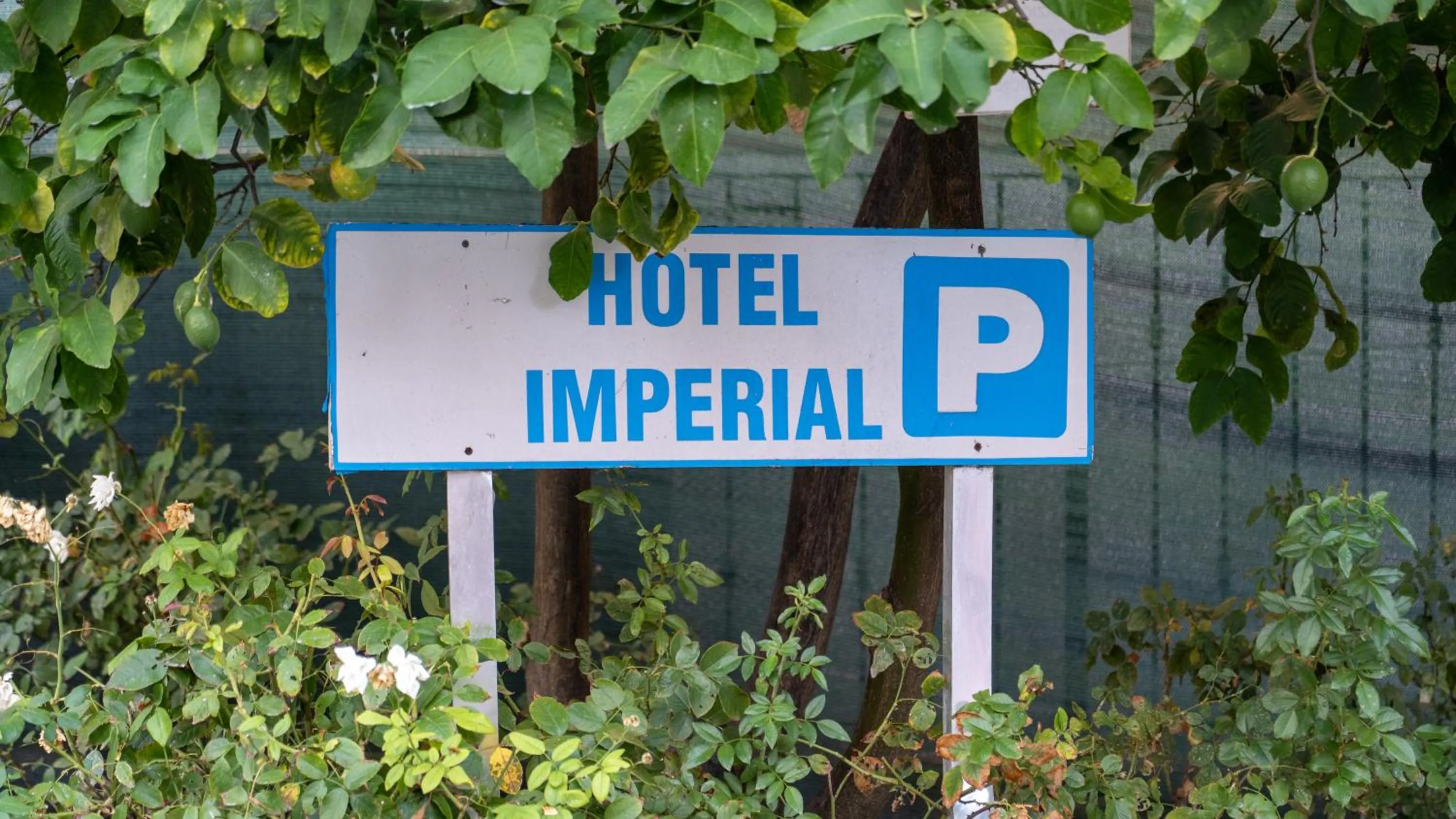 Parking in Hotel Imperial