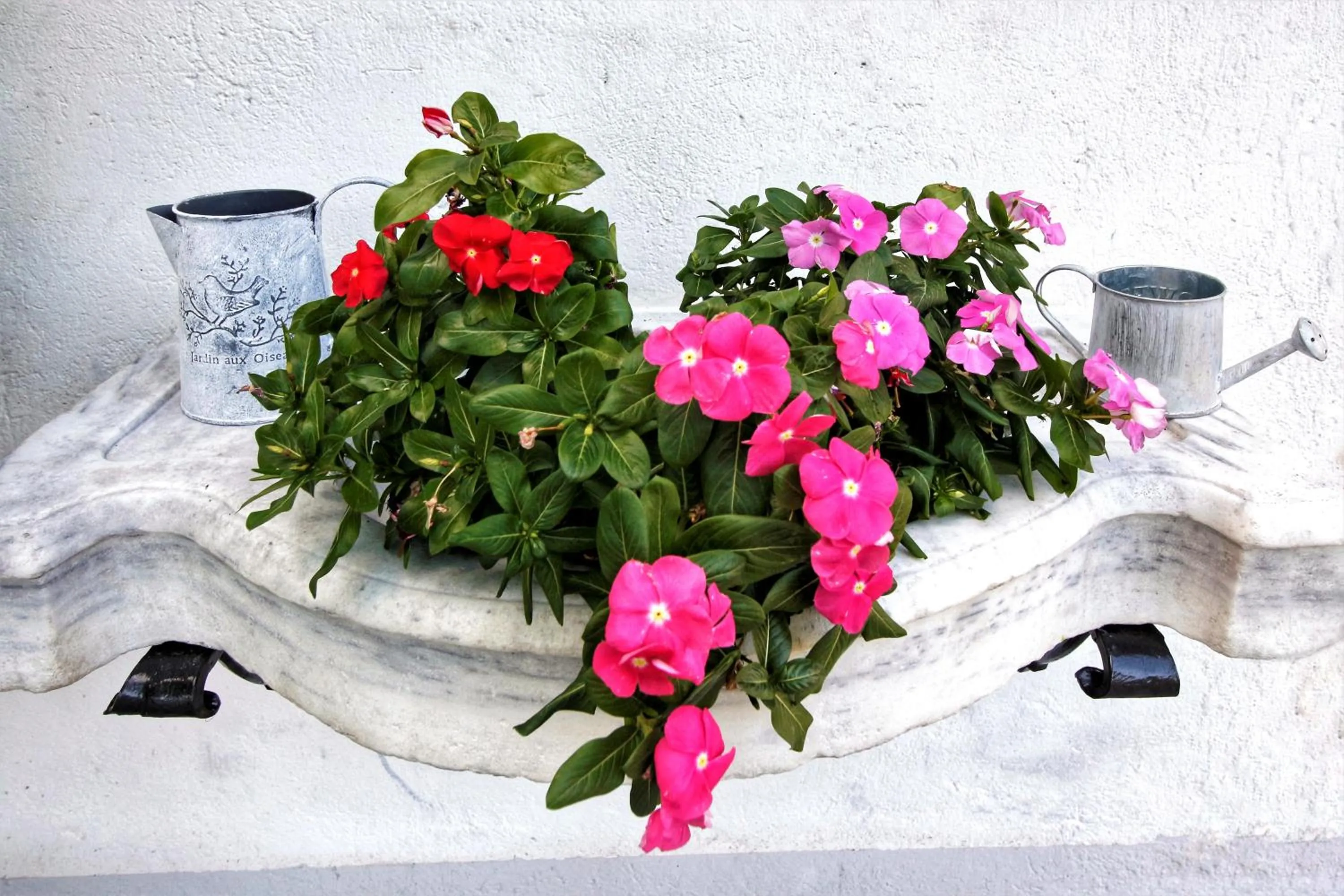 Balcony/Terrace in Hotel Bersagliere