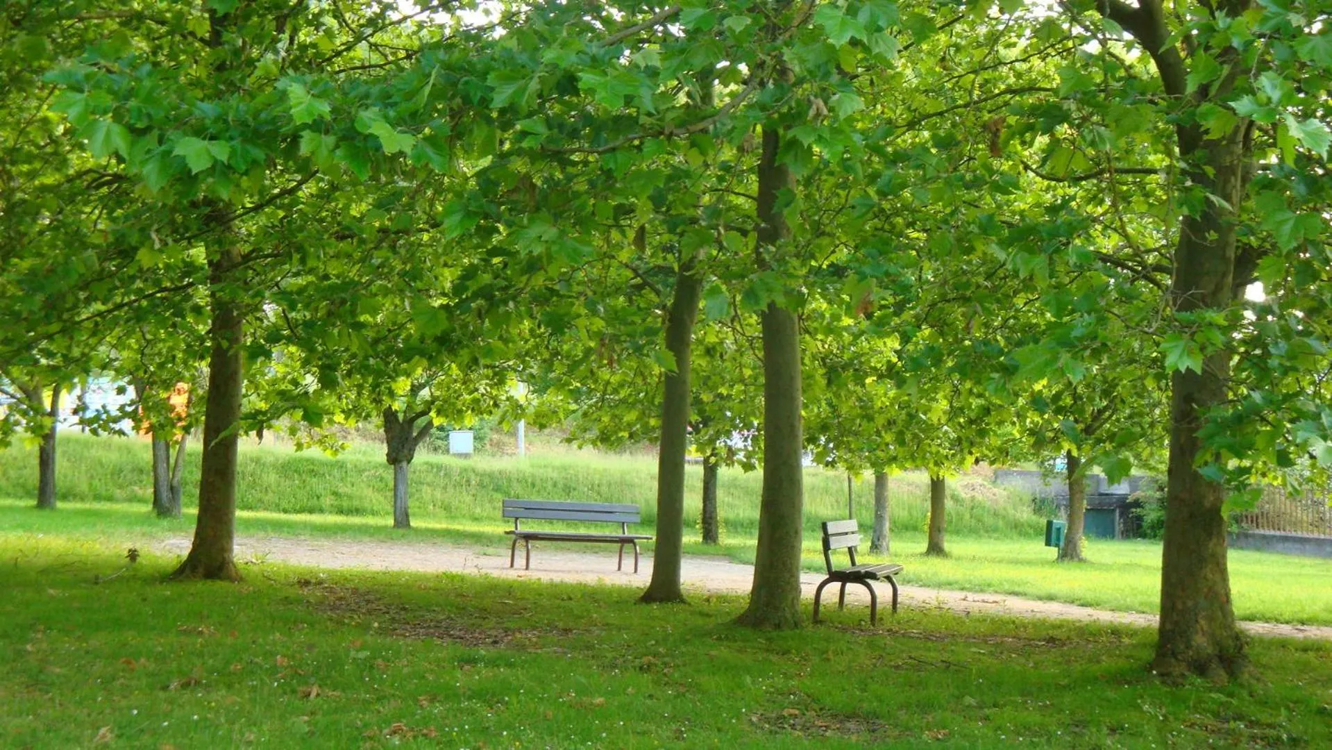 Natural landscape in Hotel Marvin