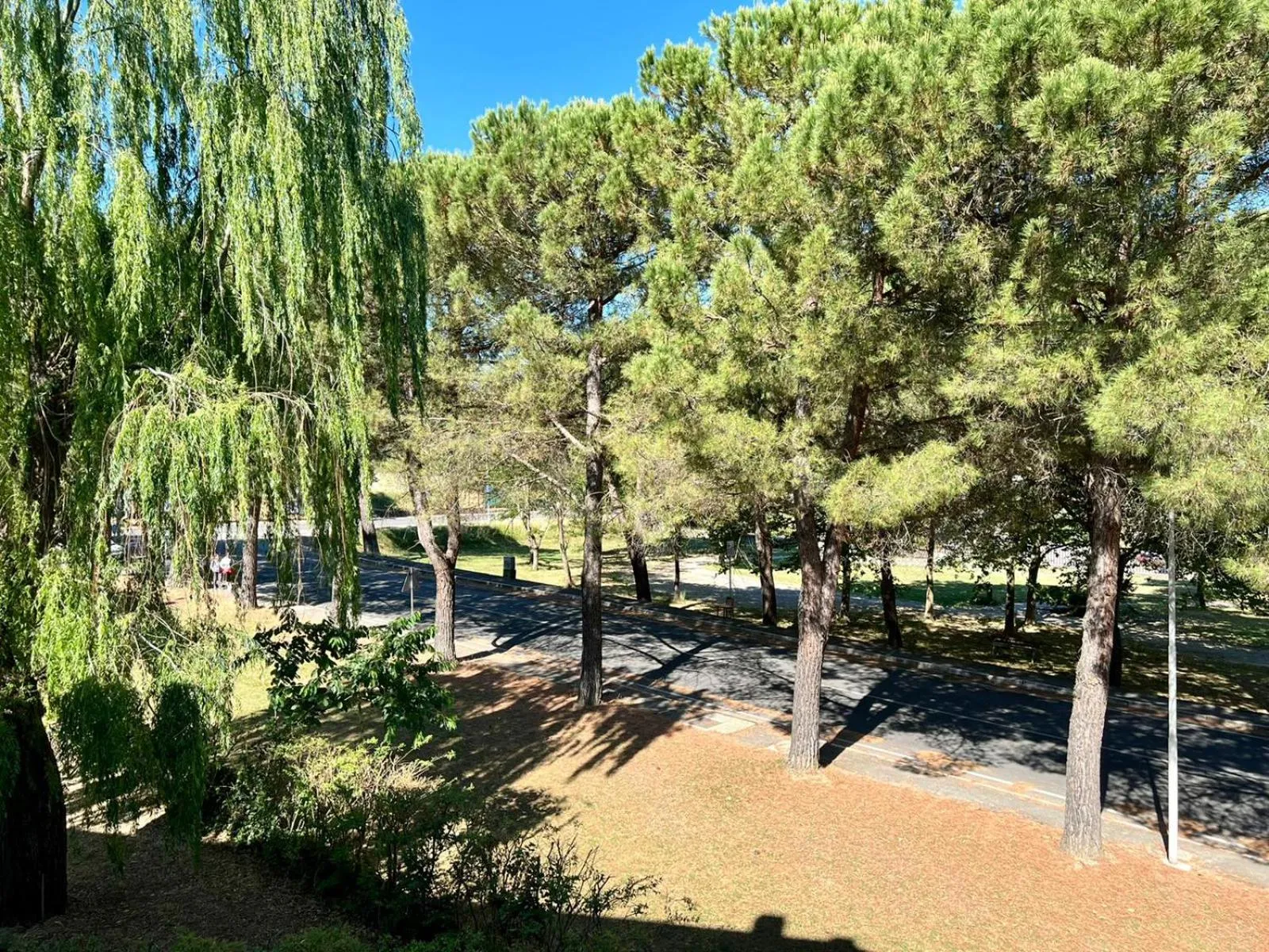 Natural landscape in Hotel Marvin