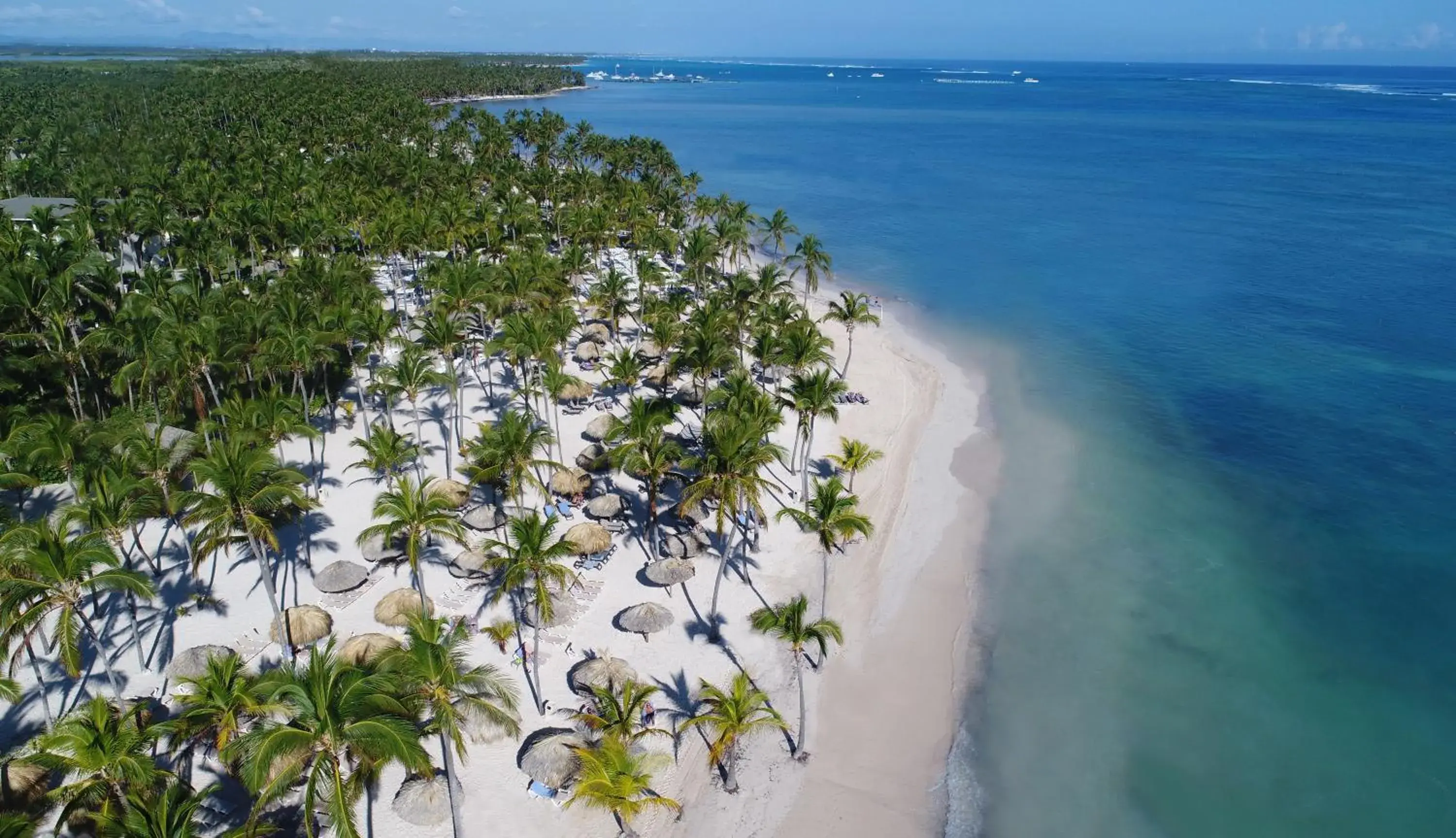 Bird's eye view in Catalonia Punta Cana - All Inclusive Bird's eye view in Catalonia Punta Cana - All Inclusive