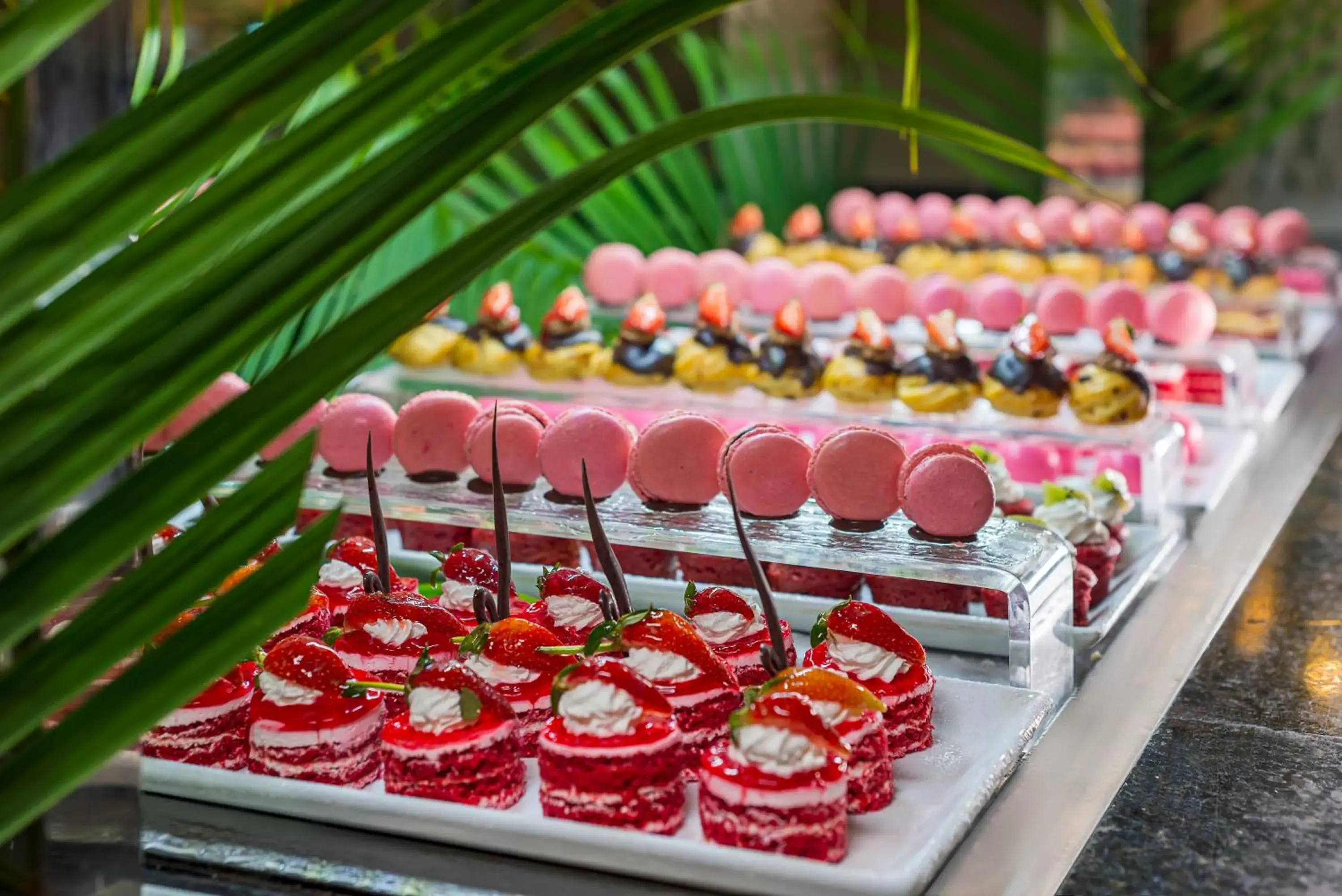 Food and drinks in Catalonia Punta Cana - All Inclusive Food and drinks in Catalonia Punta Cana - All Inclusive